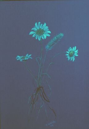 1983 WILDFLOWERS I.jpg