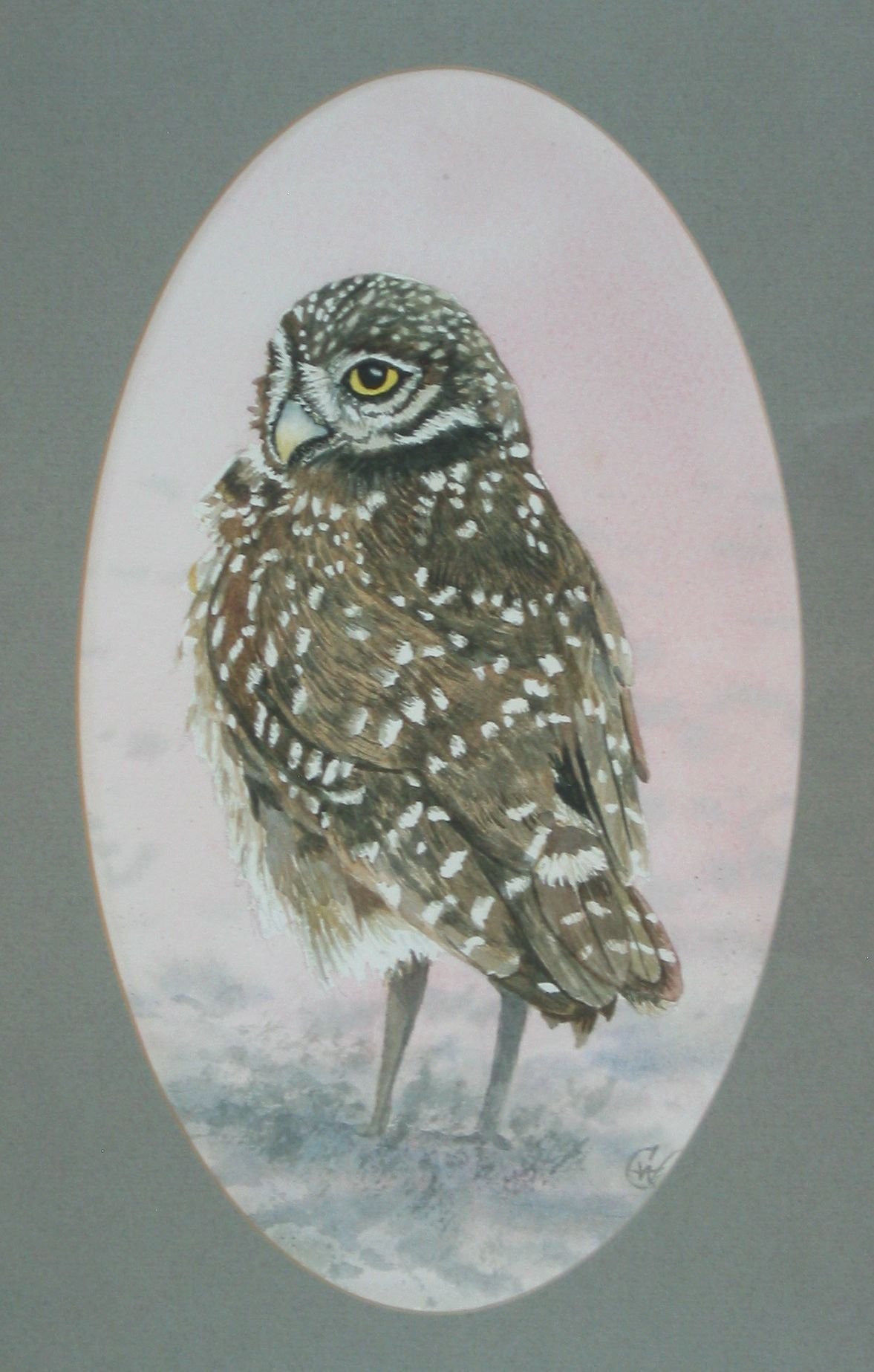 1990 Bowering Owl.JPG