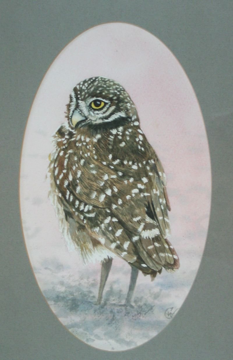 1991 VALHALLA OWL.jpg