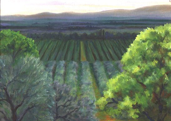 2001 TUSCANY VIEW.jpg