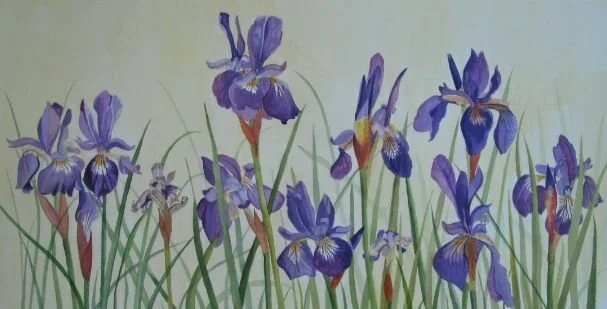 2002 SPRING BALLET$.jpg