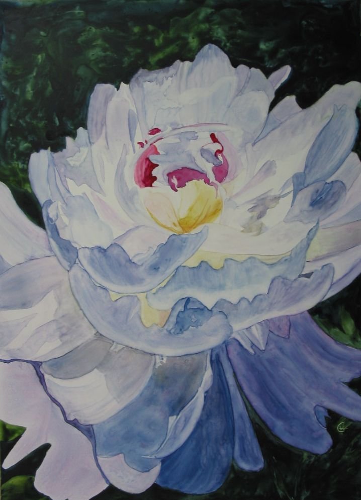 2005 KELLY'S PEONY.jpg