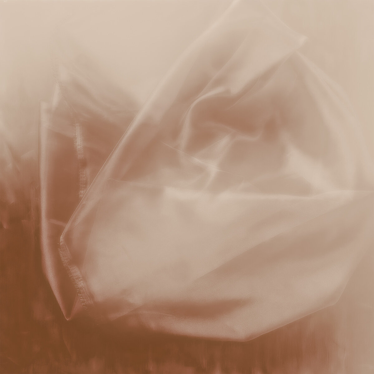 n. 2