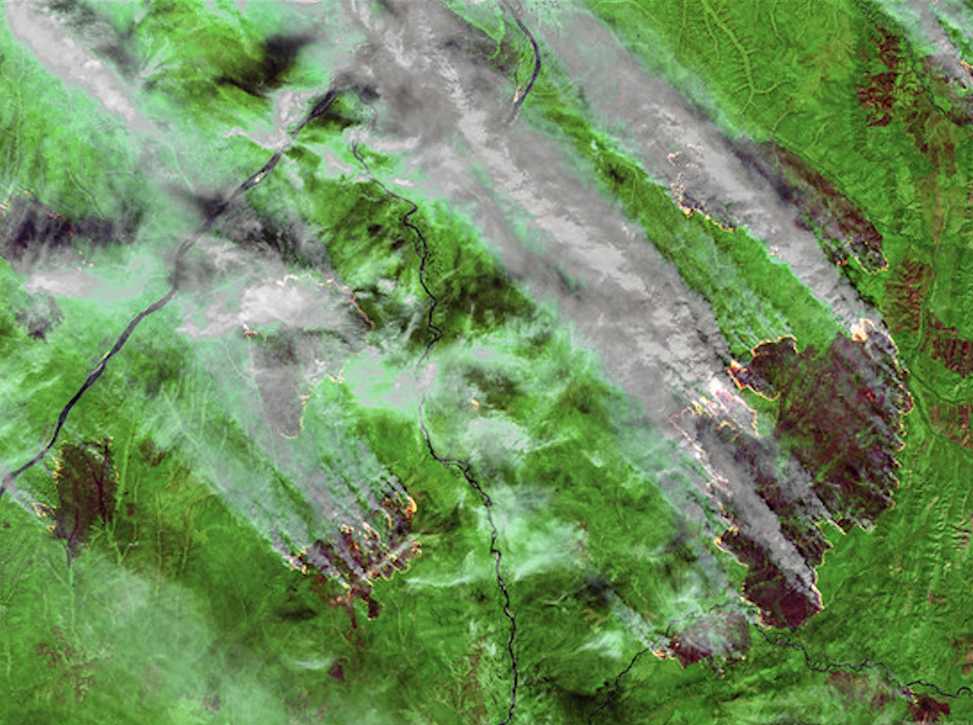 Satellite image of forest fire with smoke and burning areas in green and brown landscape.