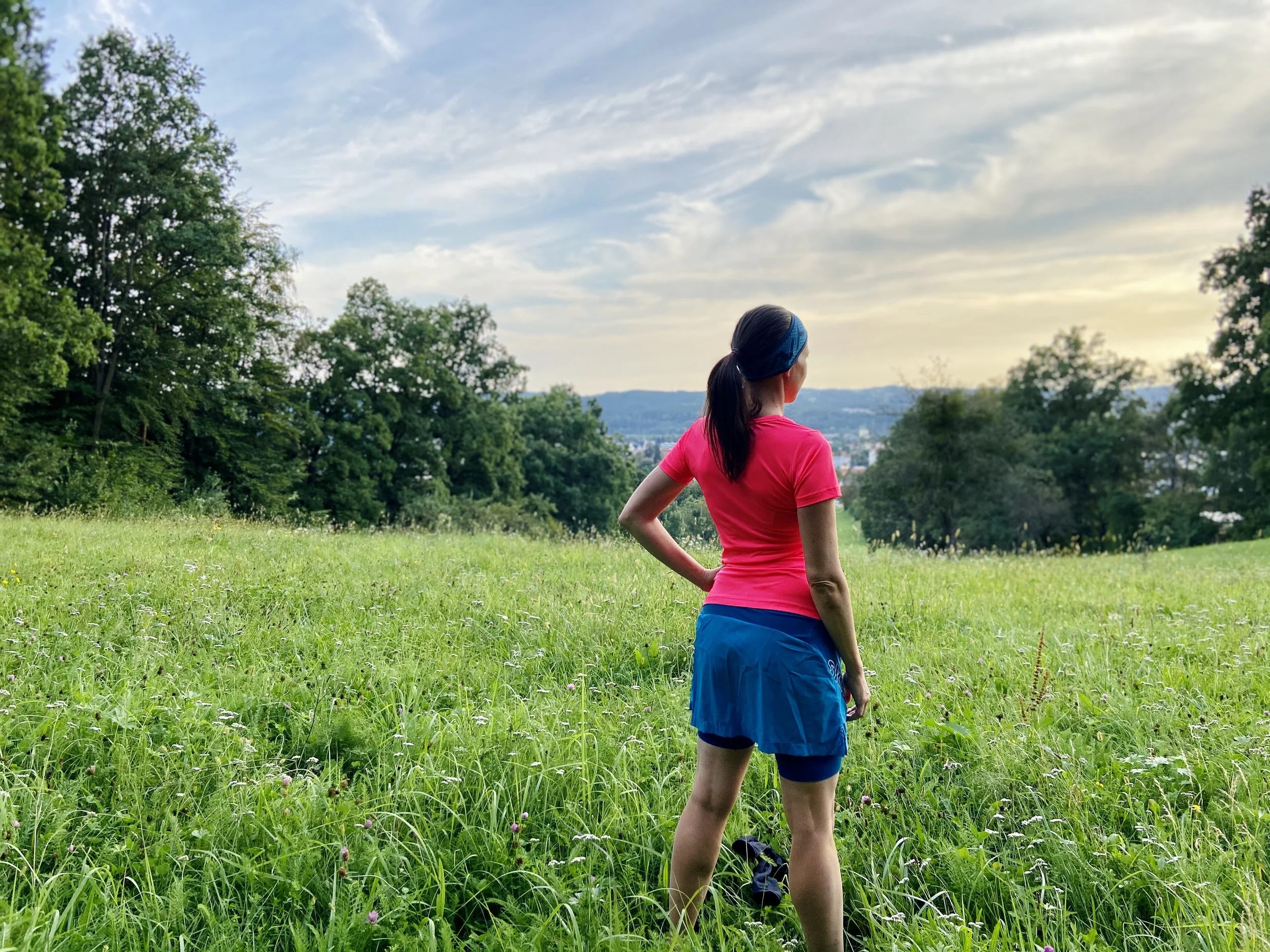 Grüne Gleisdorf - Blick vom Kessel