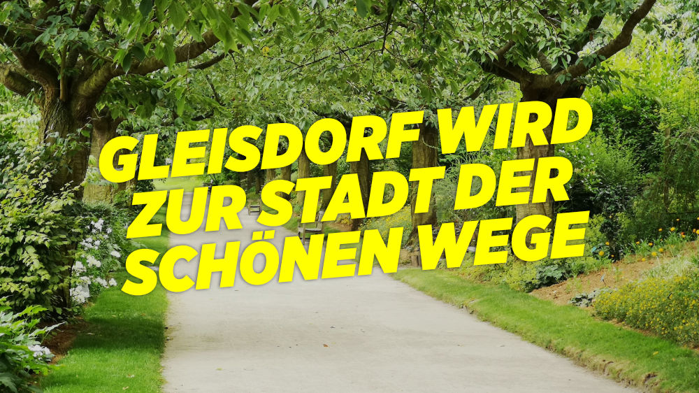 headline-wege.alt.png