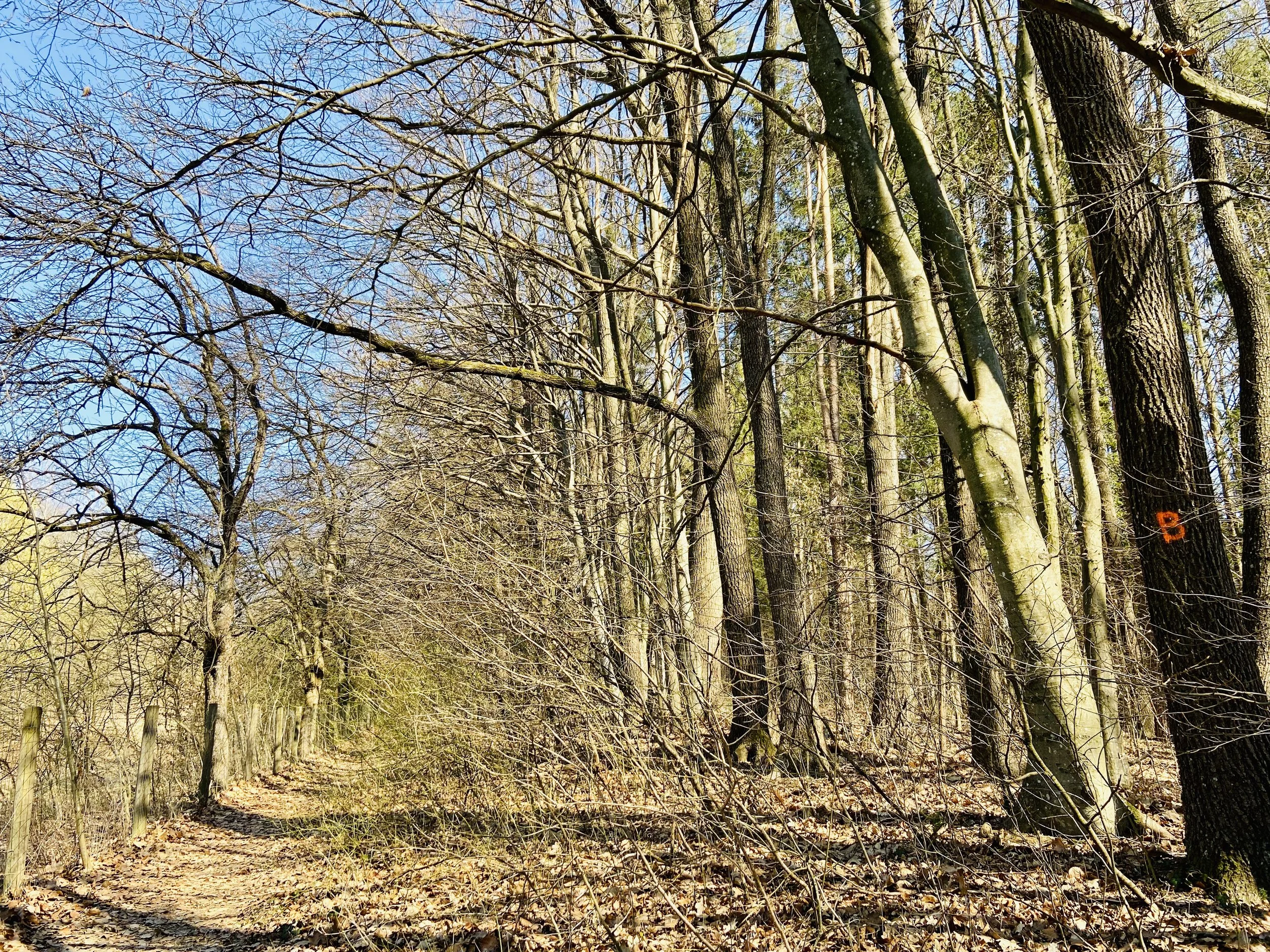 IMG_9474.jpeg