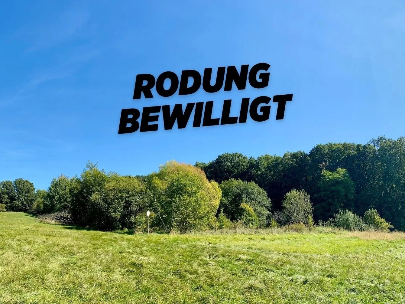 "Das lauteste Schweigen der Stadt"