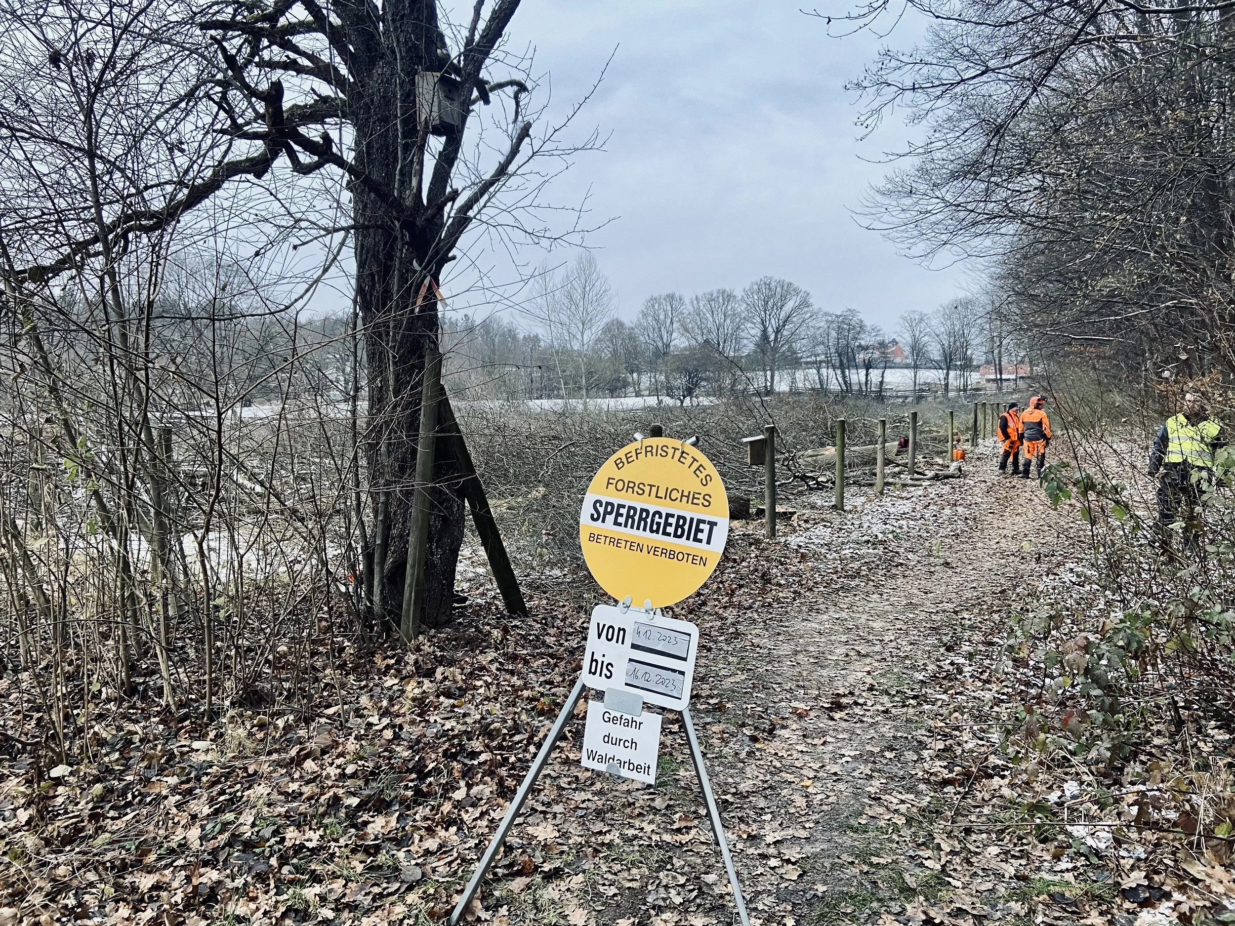 Ende des Schießstattwaldes