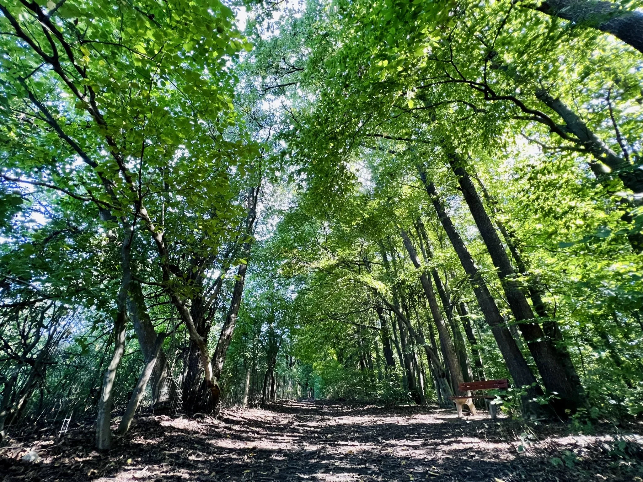 Dieser Wanderweg wird zum Parkplatz