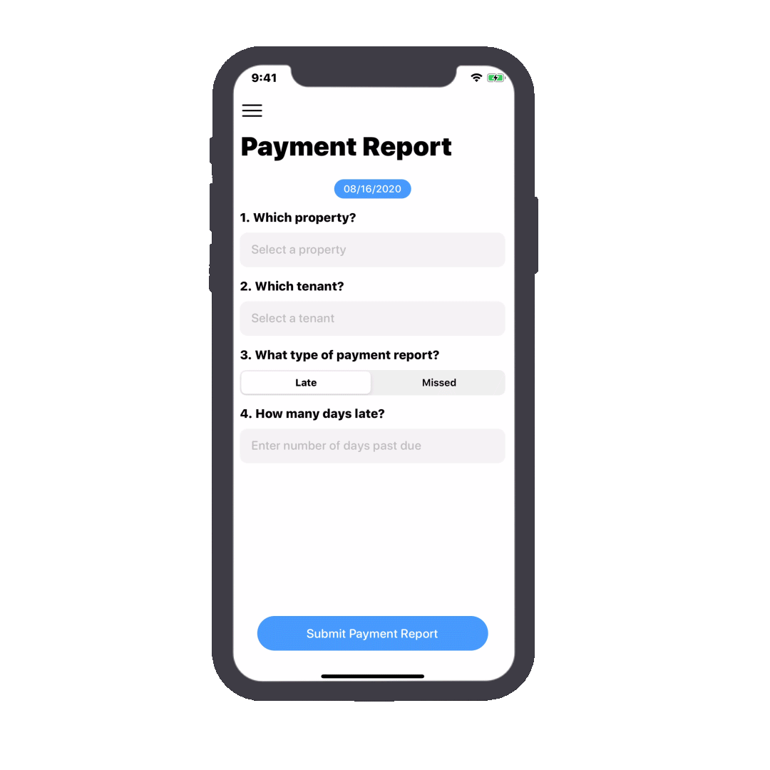Payment-Reportt.gif