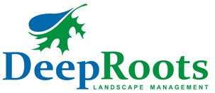 Deep Roots Landscape Management, Deep Roots Landscaping