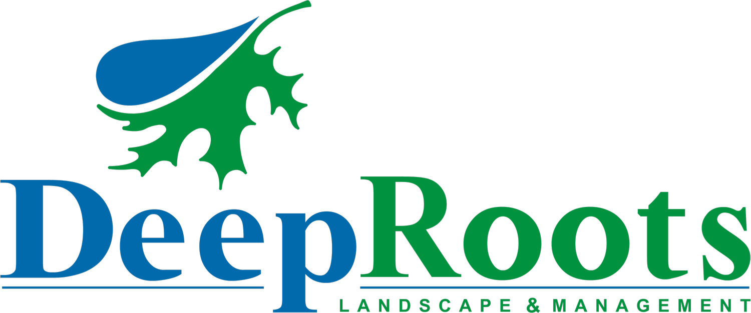 Deep Roots Landscape Management