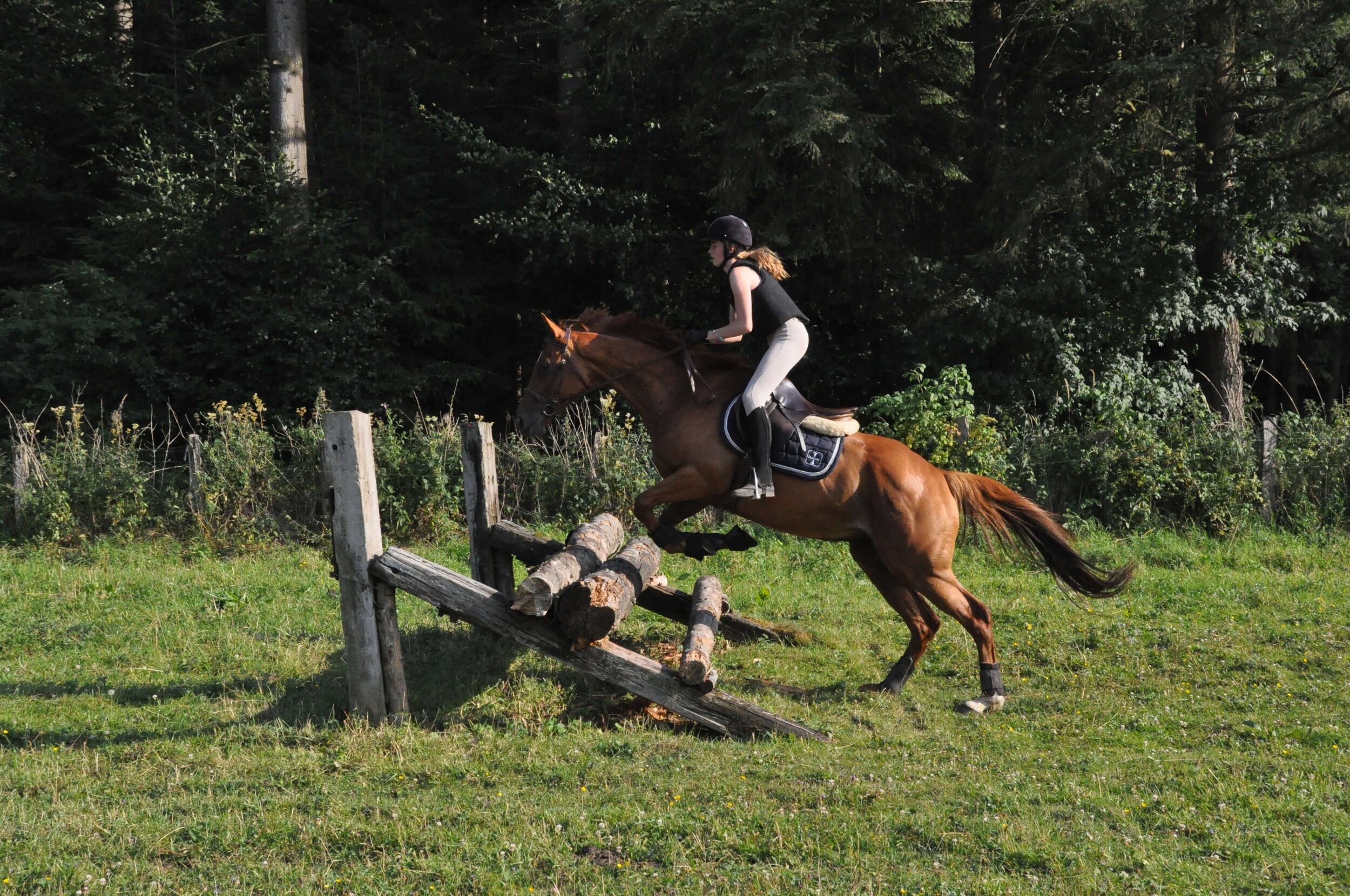 stage-ete-enfants-saut-cheval-cross-haras-du-sartay.jpg