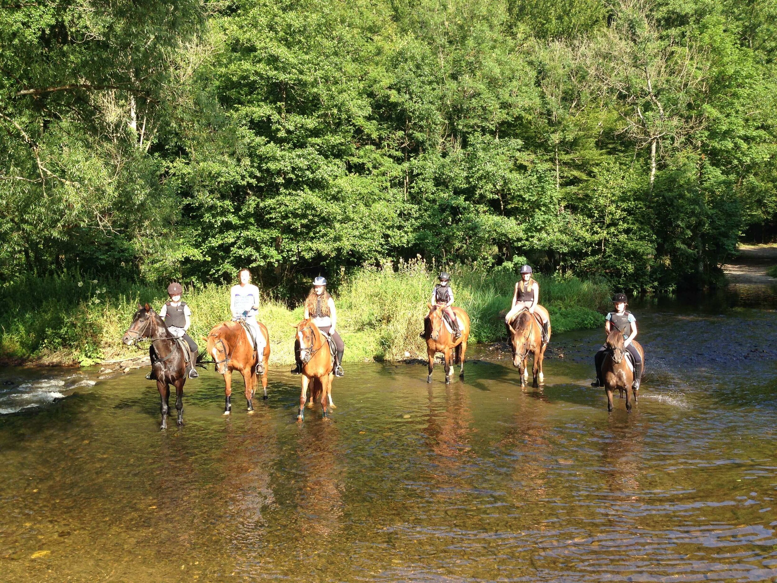 stage-enfants-chevaux-riviere-haras-du-sartay.jpg