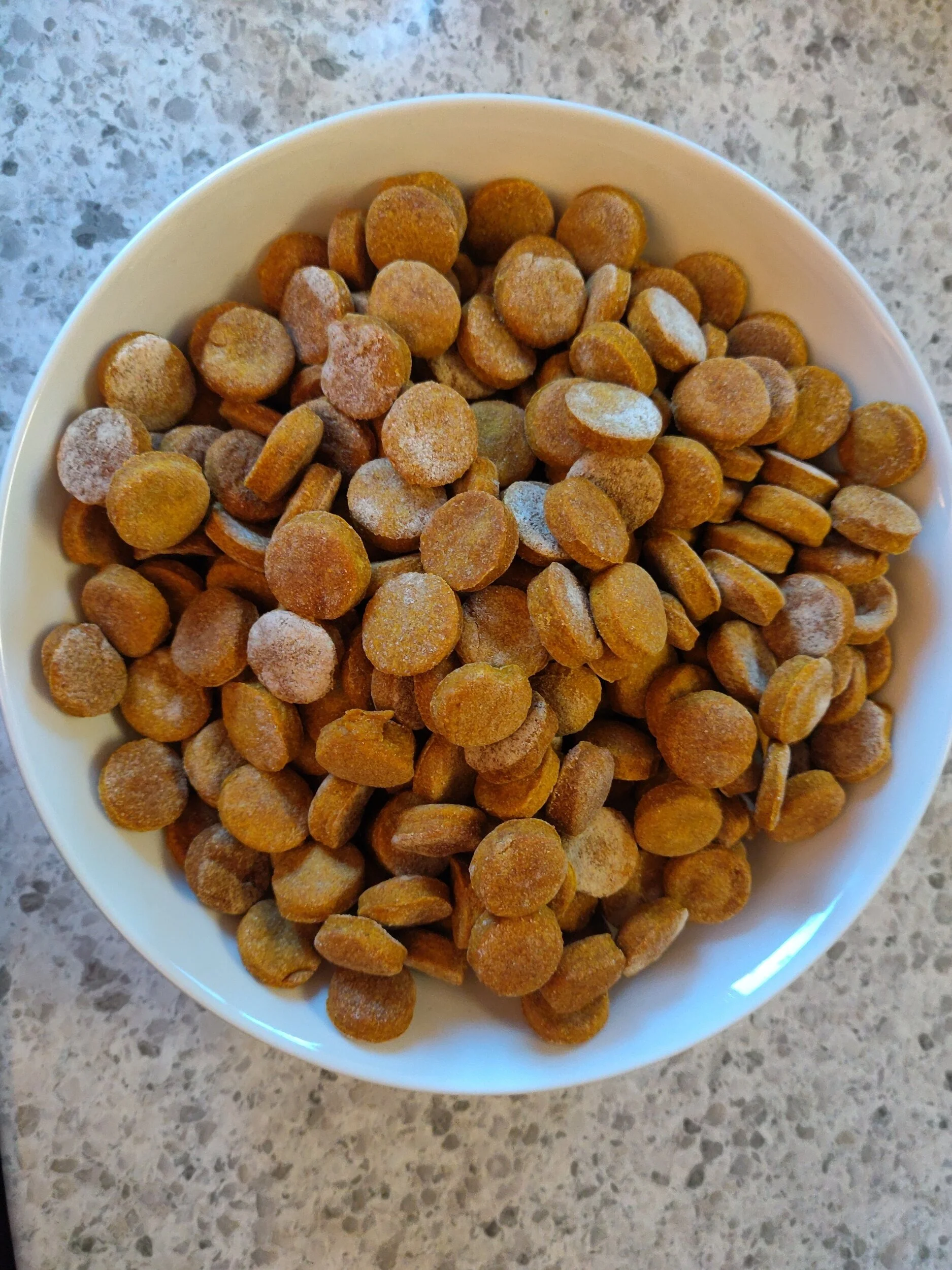 Peanut Butter Pumpkin Puppy Cookies