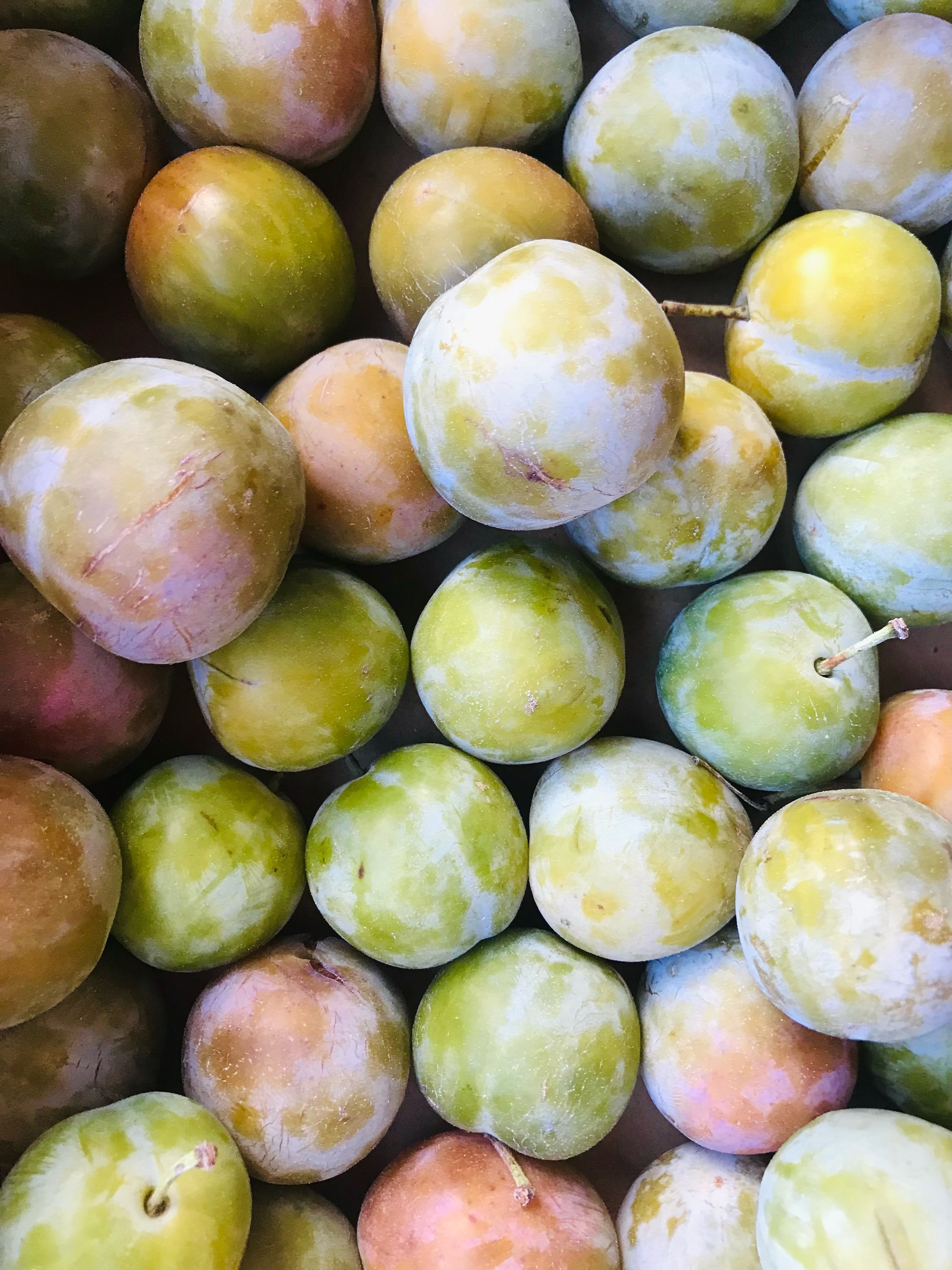 Aronia Greengage Plum Jam