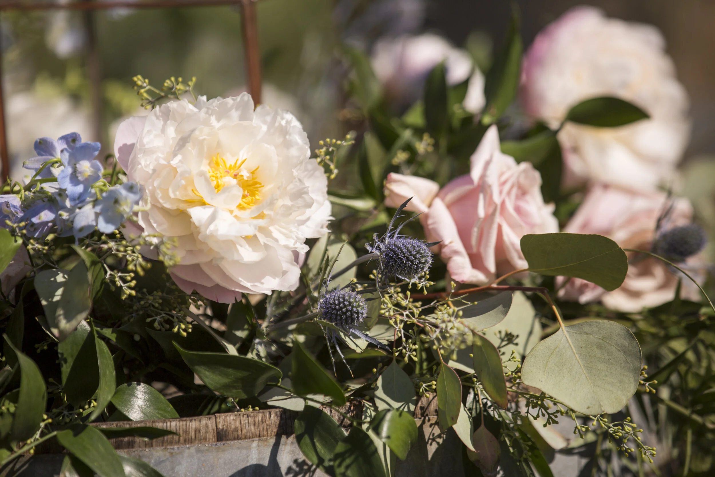 Sonoma Wedding Florist, Sonoma Wedding, Sonoma Wedding Flowers, Napa Florist, Napa Wedding Florist, Event Florist, San Francisco Wedding Florist, Bay Area Wedding Florist, Bay Area Florist, Wedding Florist, Vineyard Wedding, Sonoma Valley, Napa Valle