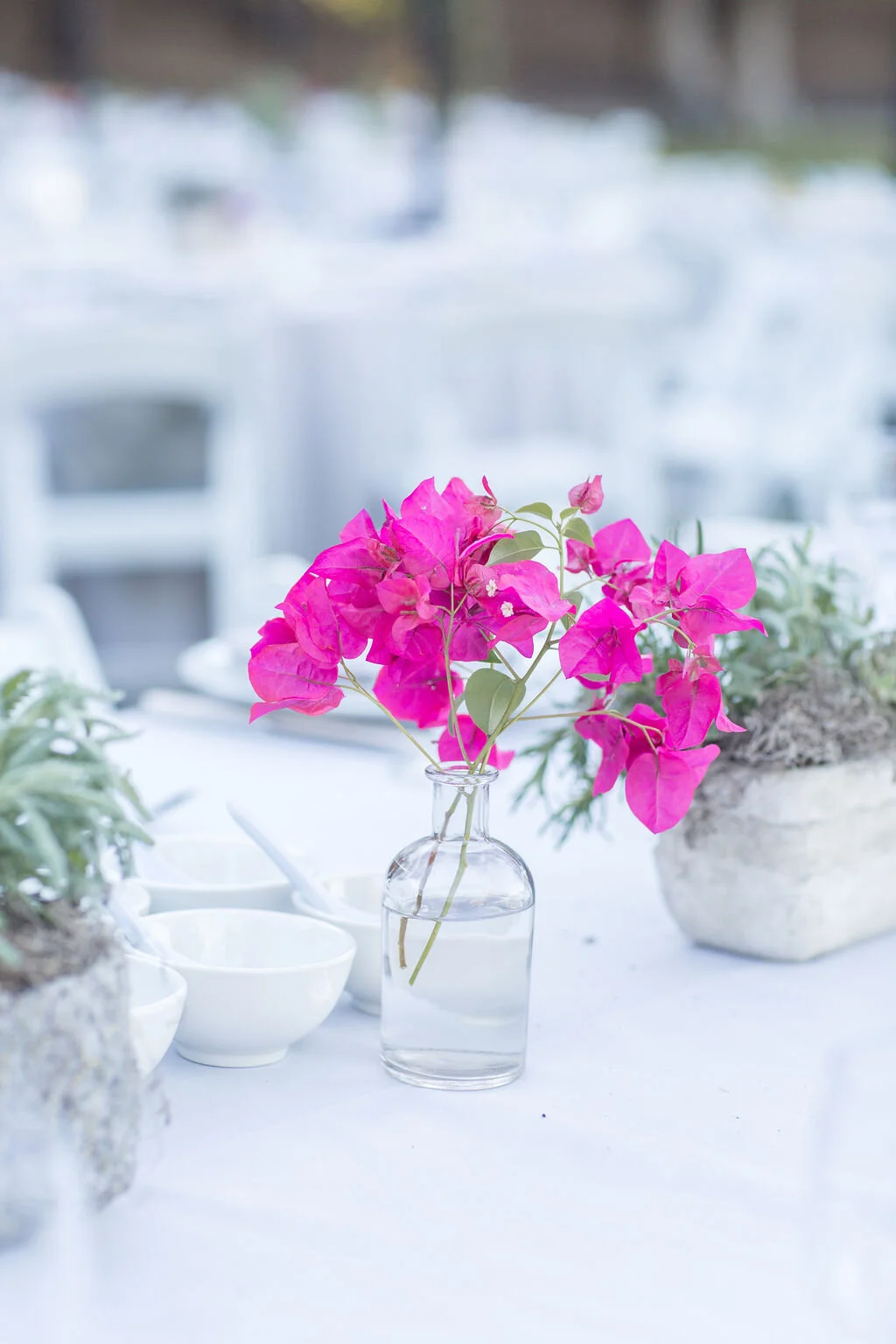 Sonoma Wedding Florist, Sonoma Wedding, Sonoma Wedding Flowers, Napa Florist, Napa Wedding Florist, Event Florist, San Francisco Wedding Florist, Bay Area Wedding Florist, Bay Area Florist, Wedding Florist, Vineyard Wedding, Sonoma Valley, Napa Valle