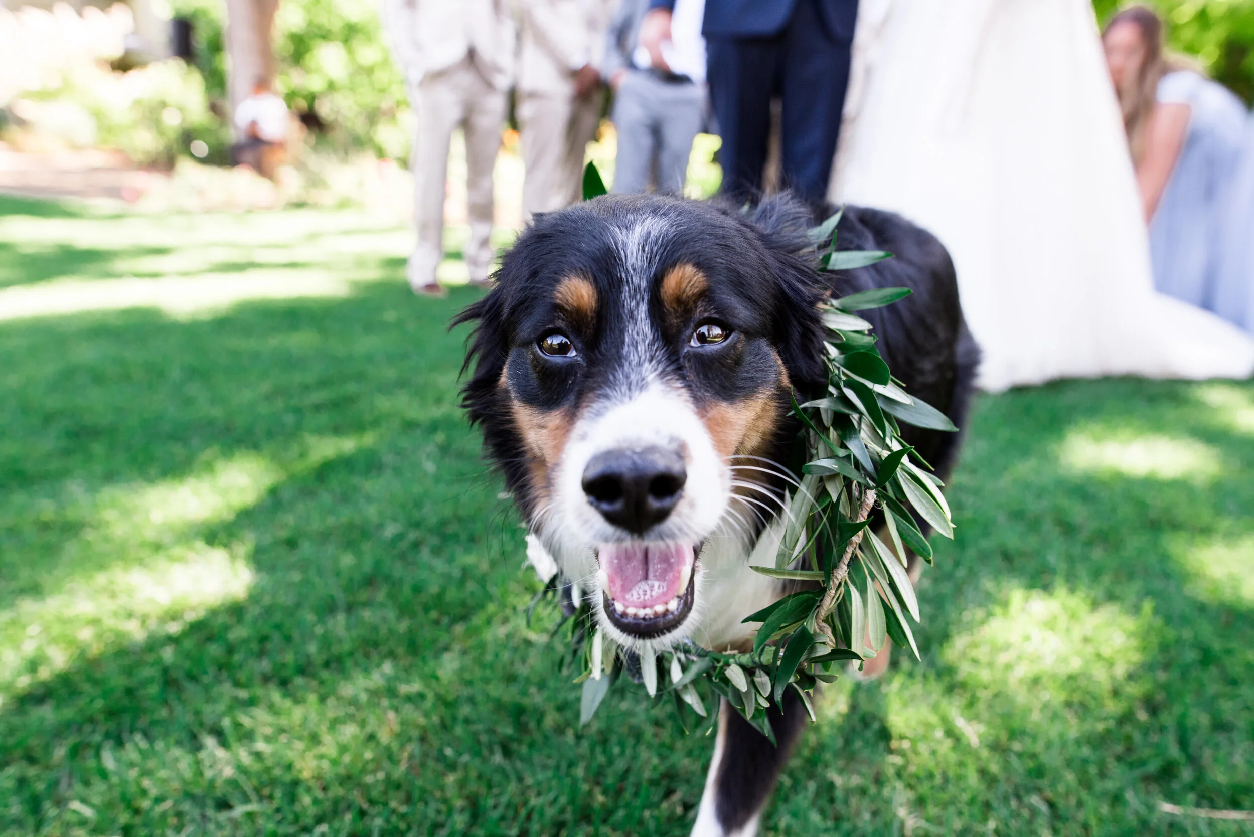 Sonoma Wedding Florist, Sonoma Wedding, Sonoma Wedding Flowers, Napa Florist, Napa Wedding Florist, Event Florist, San Francisco Wedding Florist, Bay Area Wedding Florist, Bay Area Florist, Wedding Florist, Vineyard Wedding, Sonoma Valley, Napa Valle