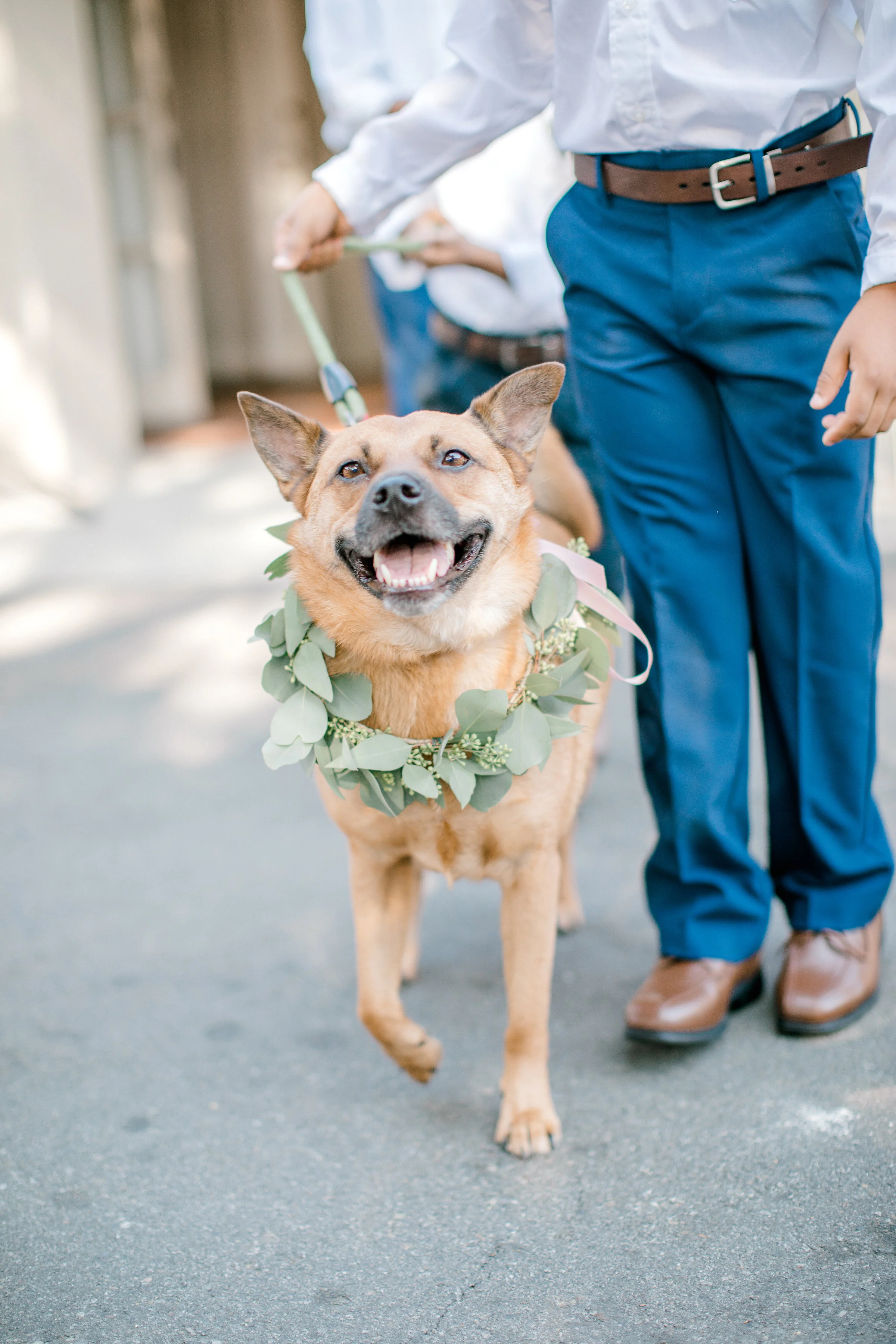 Sonoma Wedding Florist, Sonoma Wedding, Sonoma Wedding Flowers, Napa Florist, Napa Wedding Florist, Event Florist, San Francisco Wedding Florist, Bay Area Wedding Florist, Bay Area Florist, Wedding Florist, Vineyard Wedding, Sonoma Valley, Napa Valle