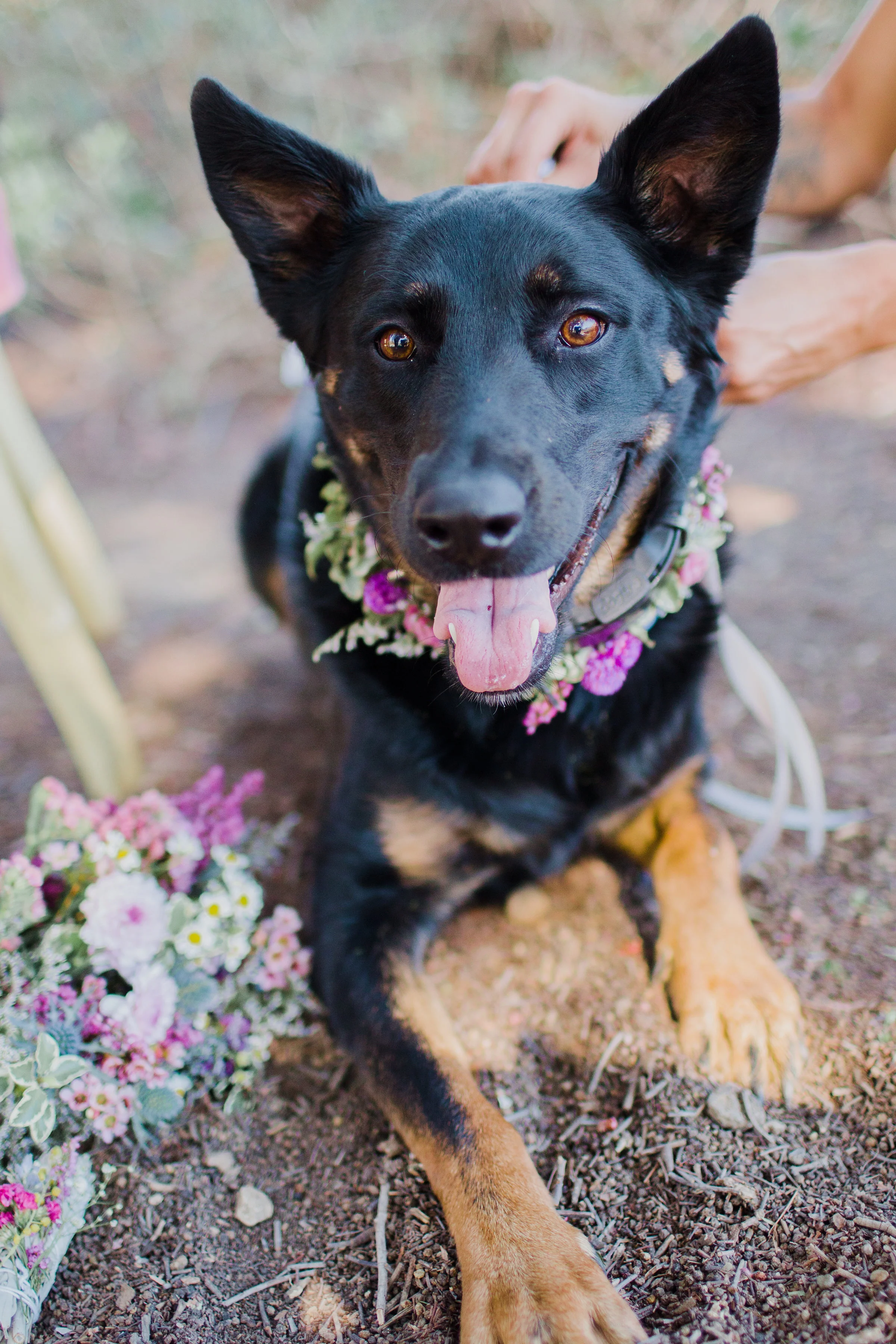 Sonoma Wedding Florist, Sonoma Wedding, Sonoma Wedding Flowers, Napa Florist, Napa Wedding Florist, Event Florist, San Francisco Wedding Florist, Bay Area Wedding Florist, Bay Area Florist, Wedding Florist, Vineyard Wedding, Sonoma Valley, Napa Valle