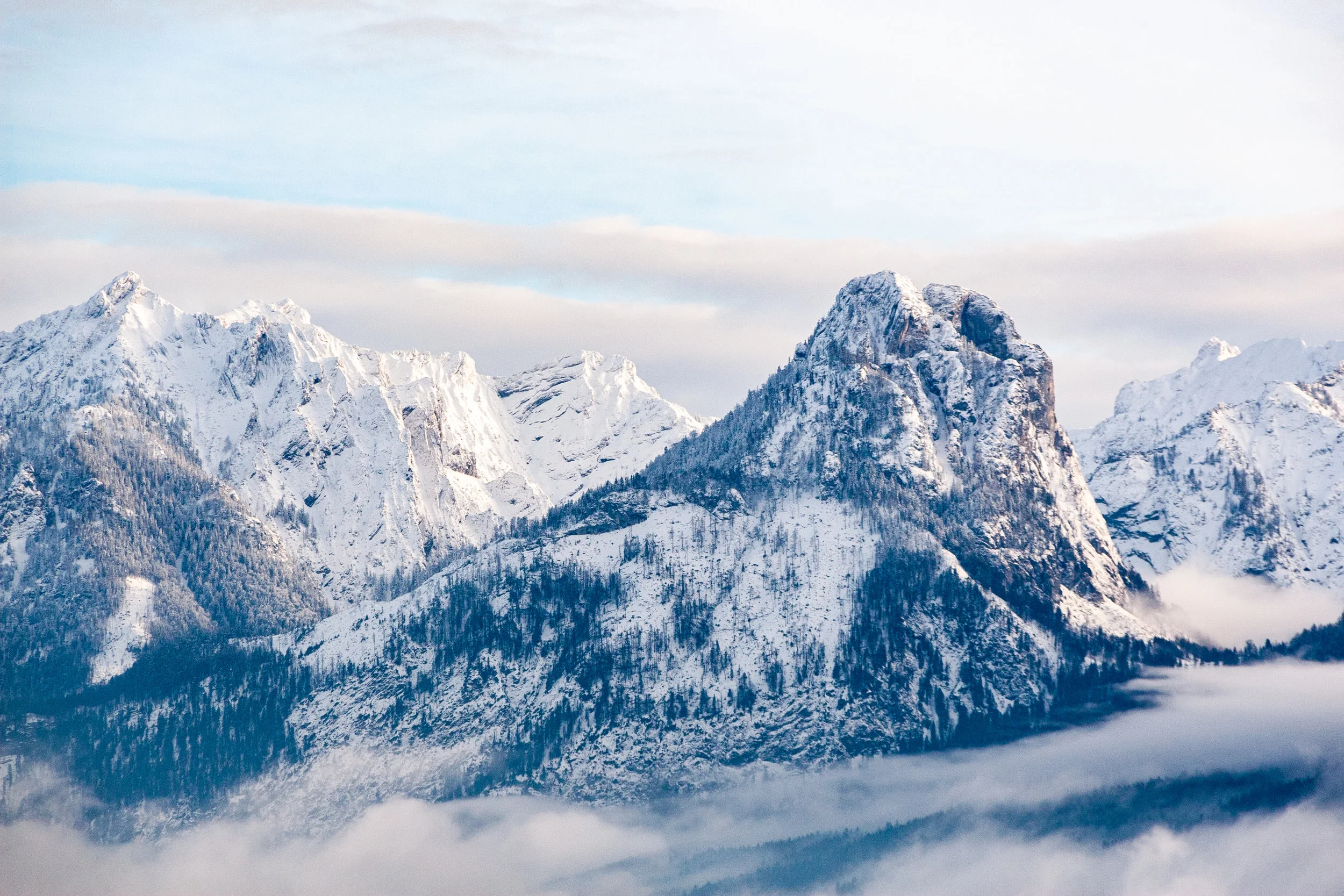 Why do I need a travel advisor?