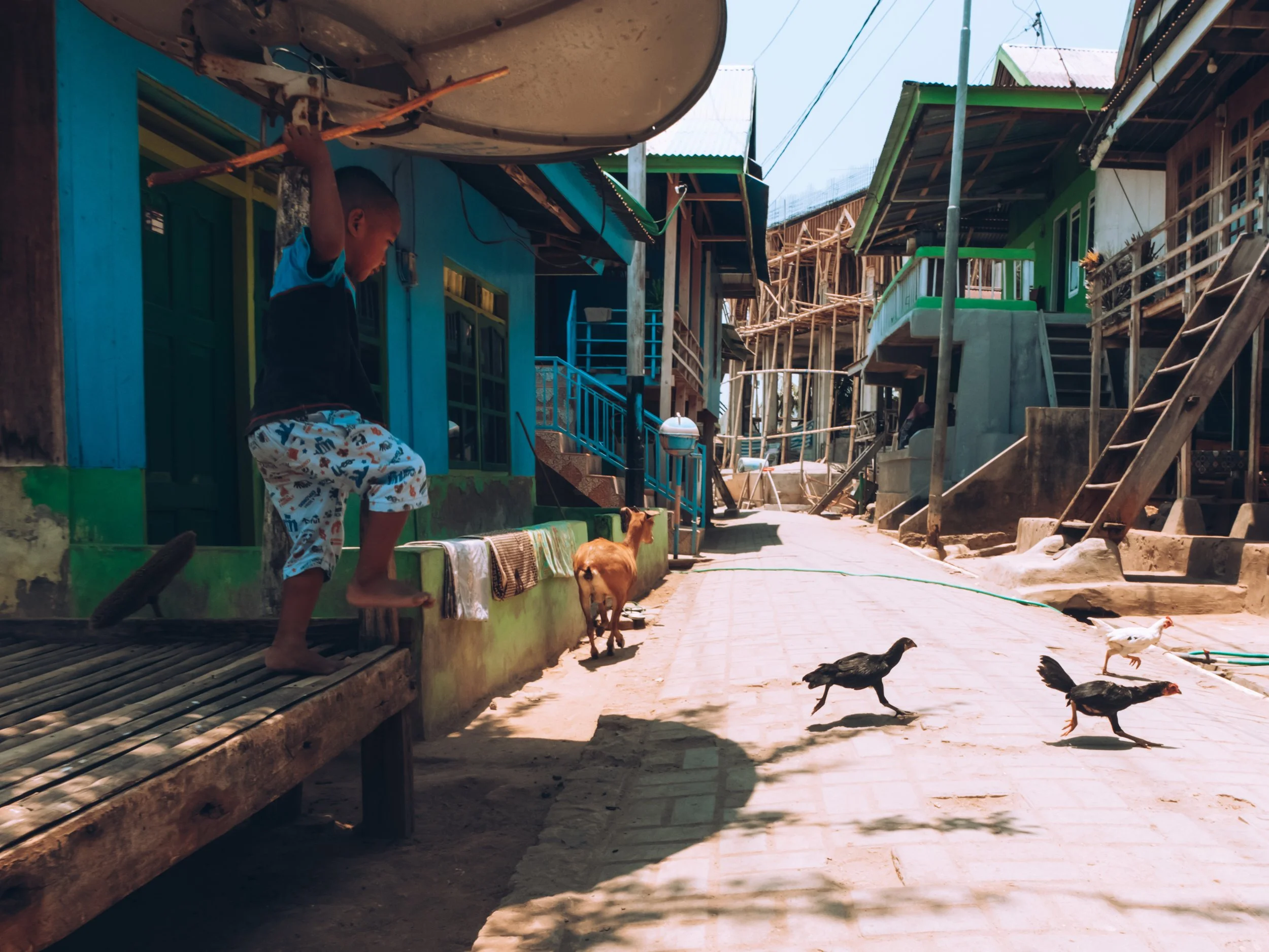 Haley-leeper-edits-komodo-island.JPG