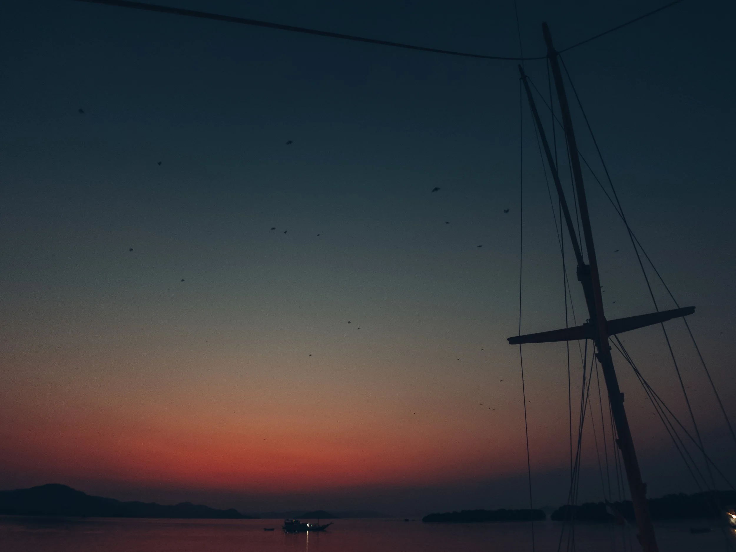Haley-leeper-edits-komodo-boat.JPG