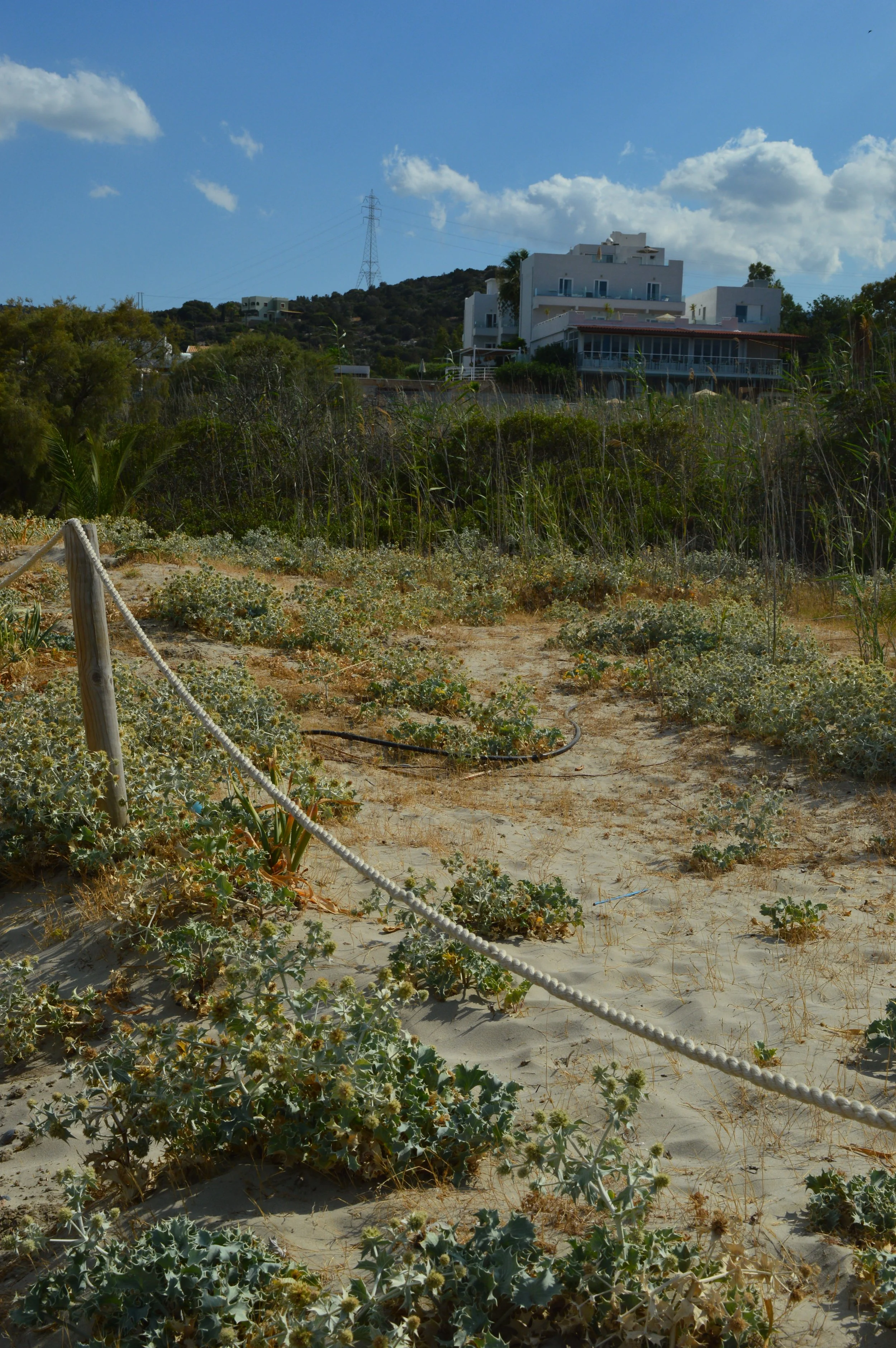 Almyros-beach-Agios-Nikolaos-crete-greece-Agios-Nikolaos-travel-guide (19).JPG