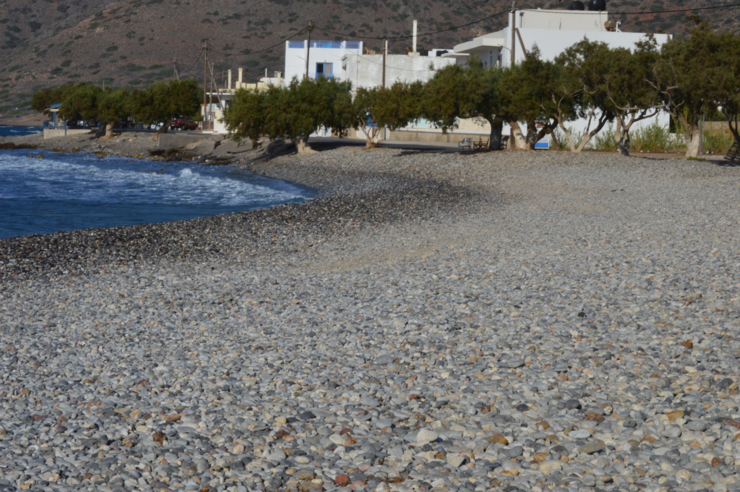 DSC_3431.JPG