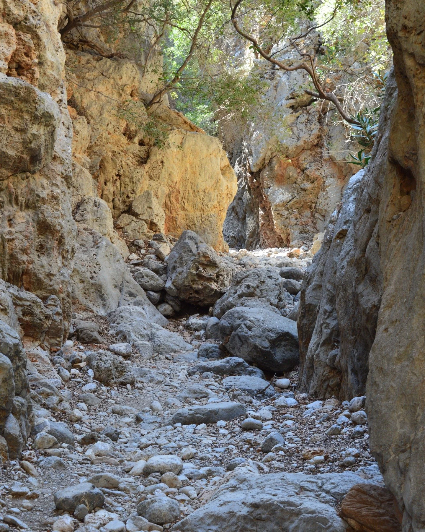 πΏ Kritsa Gorge, Crete πΏ
A hidden gem of nature just outside one of the oldest and most historic villages of Crete. Walking through Kritsa Gorge, you’re surrounded by steep cliffs, wild vegetation, and the raw beauty of the Cretan landscape. ?