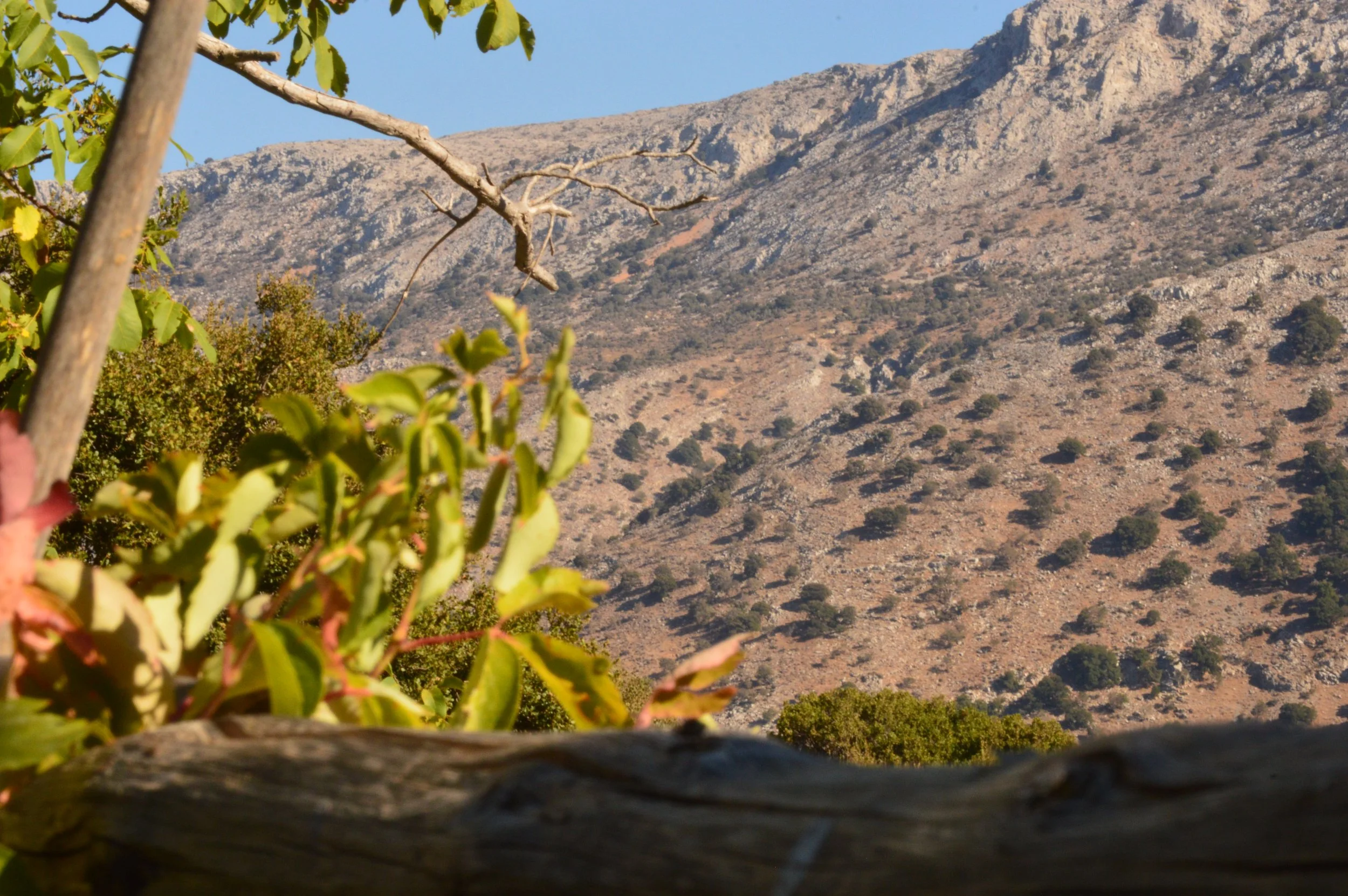 Cheese-Making-with Shepherd-Tour–Olive-Oil-factory-and-Remote-villages-Agios-Nikolaos-tour (13).JPG