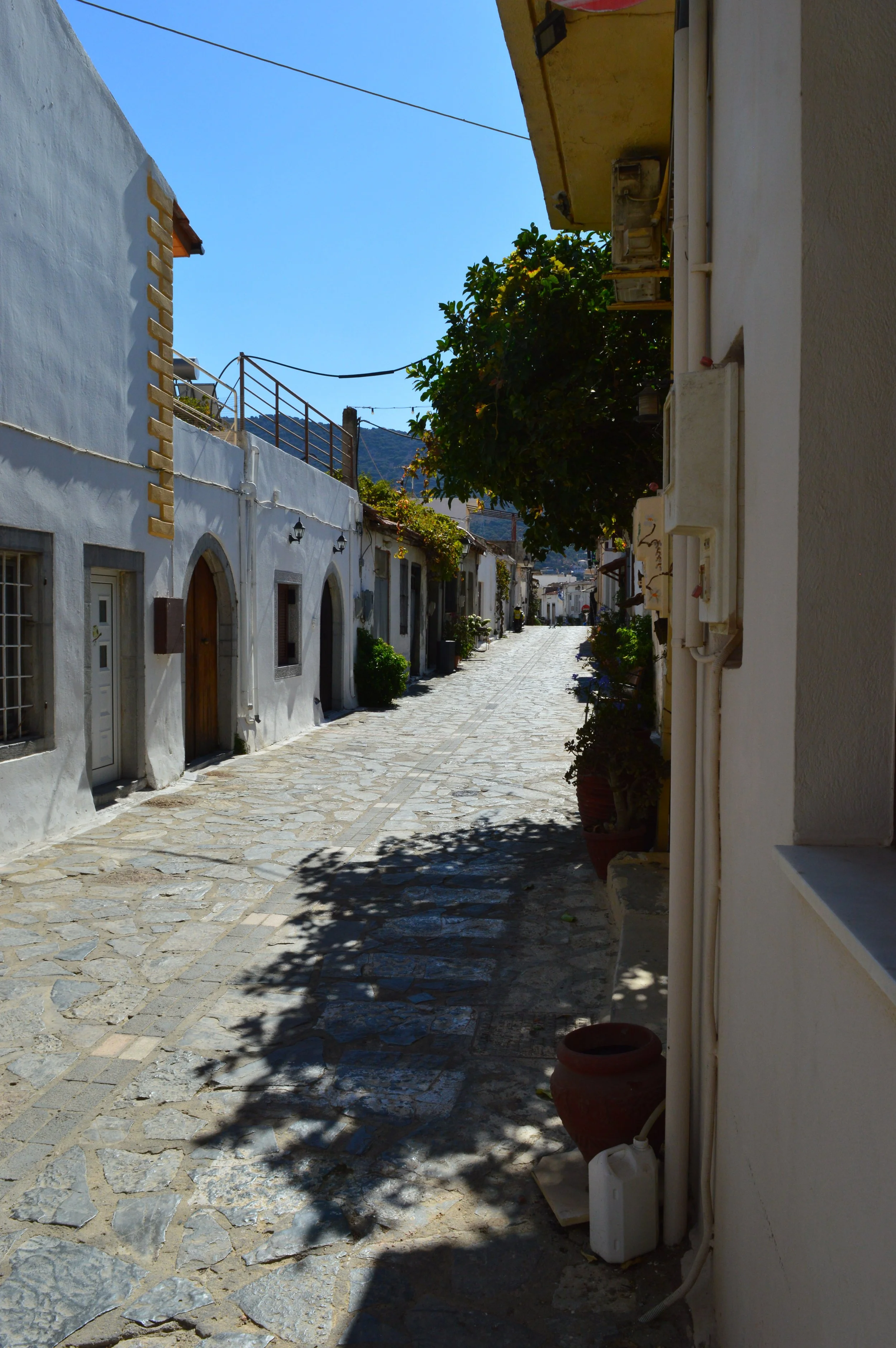 Cheese-Making-with Shepherd-Tour–Olive-Oil-factory-and-Remote-villages-Agios-Nikolaos-tour (16).JPG