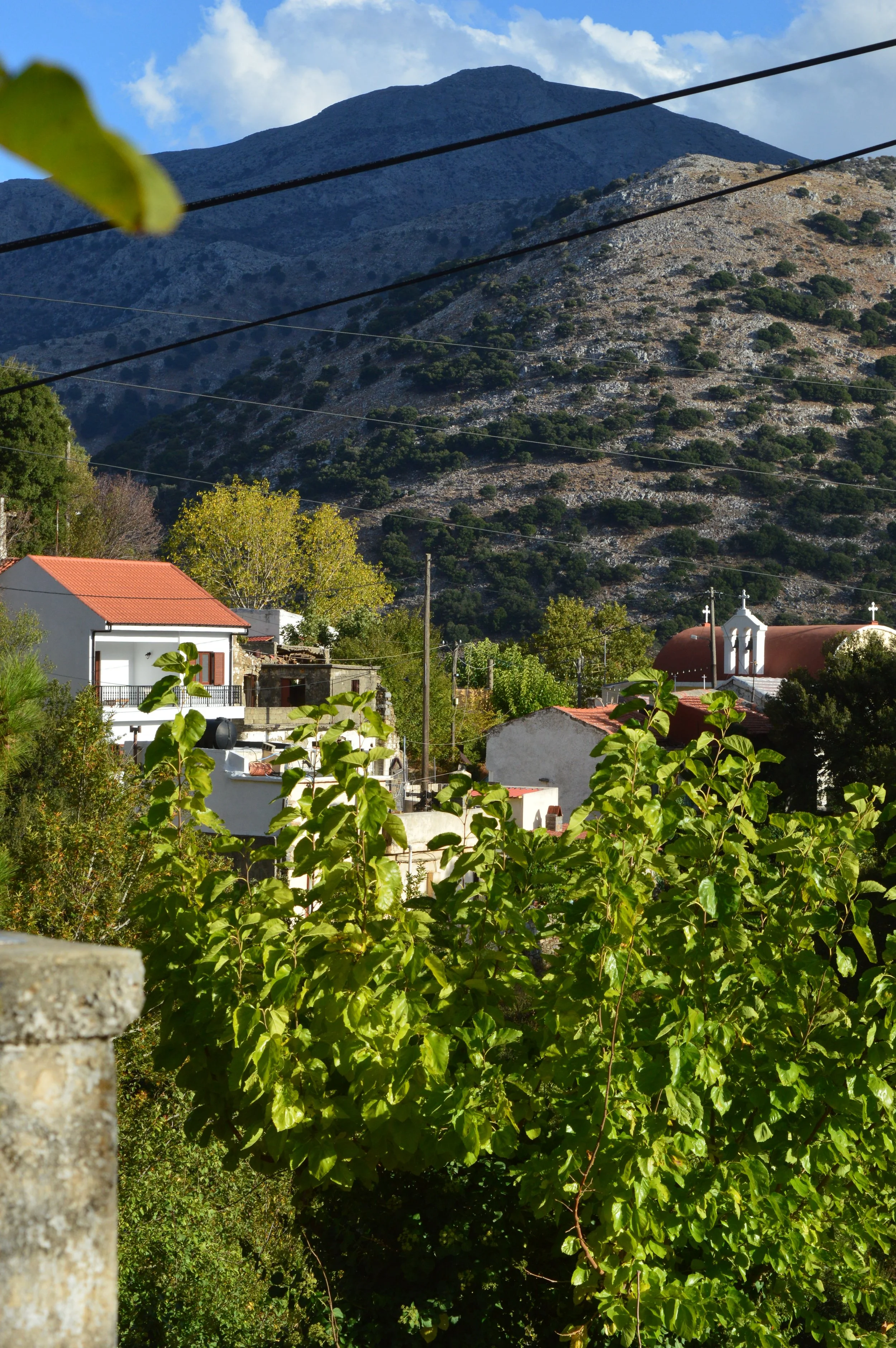Cheese-Making-with Shepherd-Tour–Olive-Oil-factory-and-Remote-villages-Agios-Nikolaos-tour (19).JPG