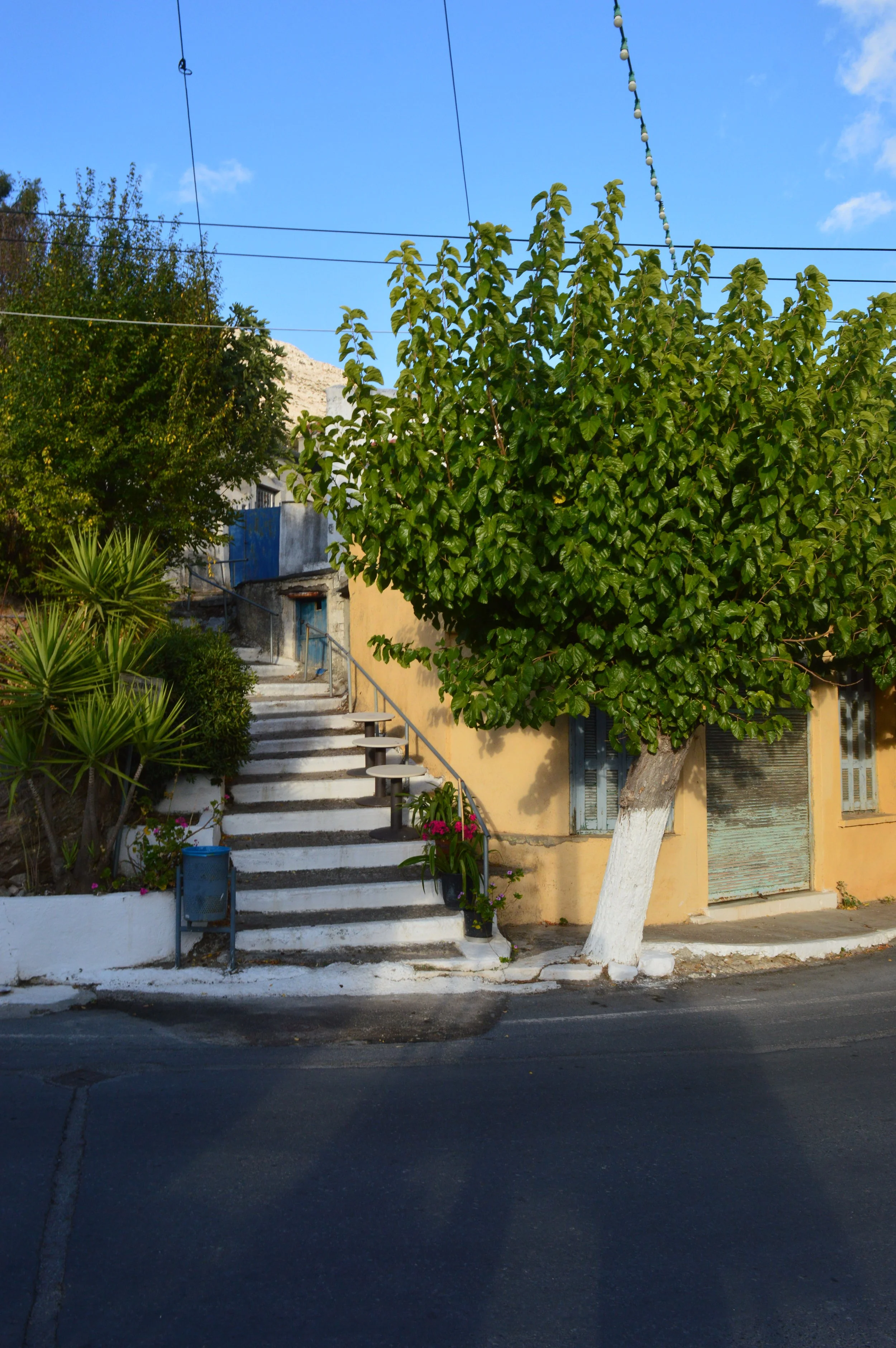 Cheese-Making-with Shepherd-Tour–Olive-Oil-factory-and-Remote-villages-Agios-Nikolaos-tour (31).JPG