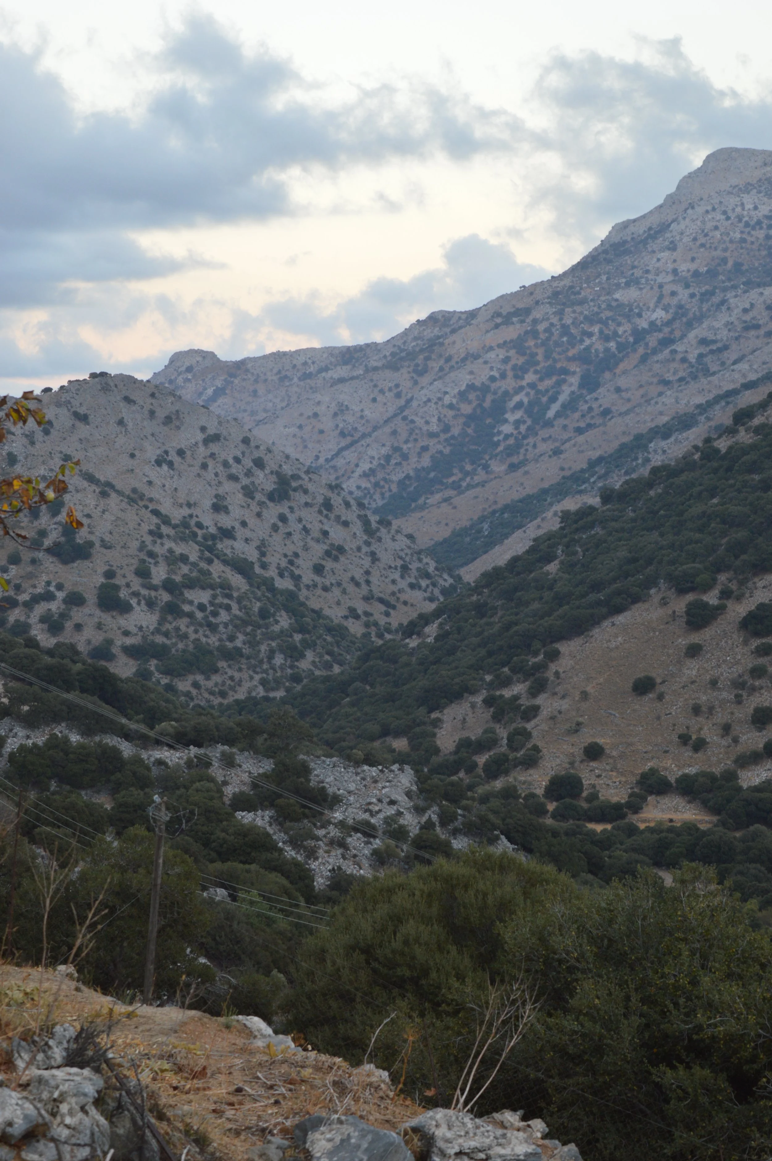 Cheese-Making-with Shepherd-Tour–Olive-Oil-factory-and-Remote-villages-Agios-Nikolaos-tour (34).JPG