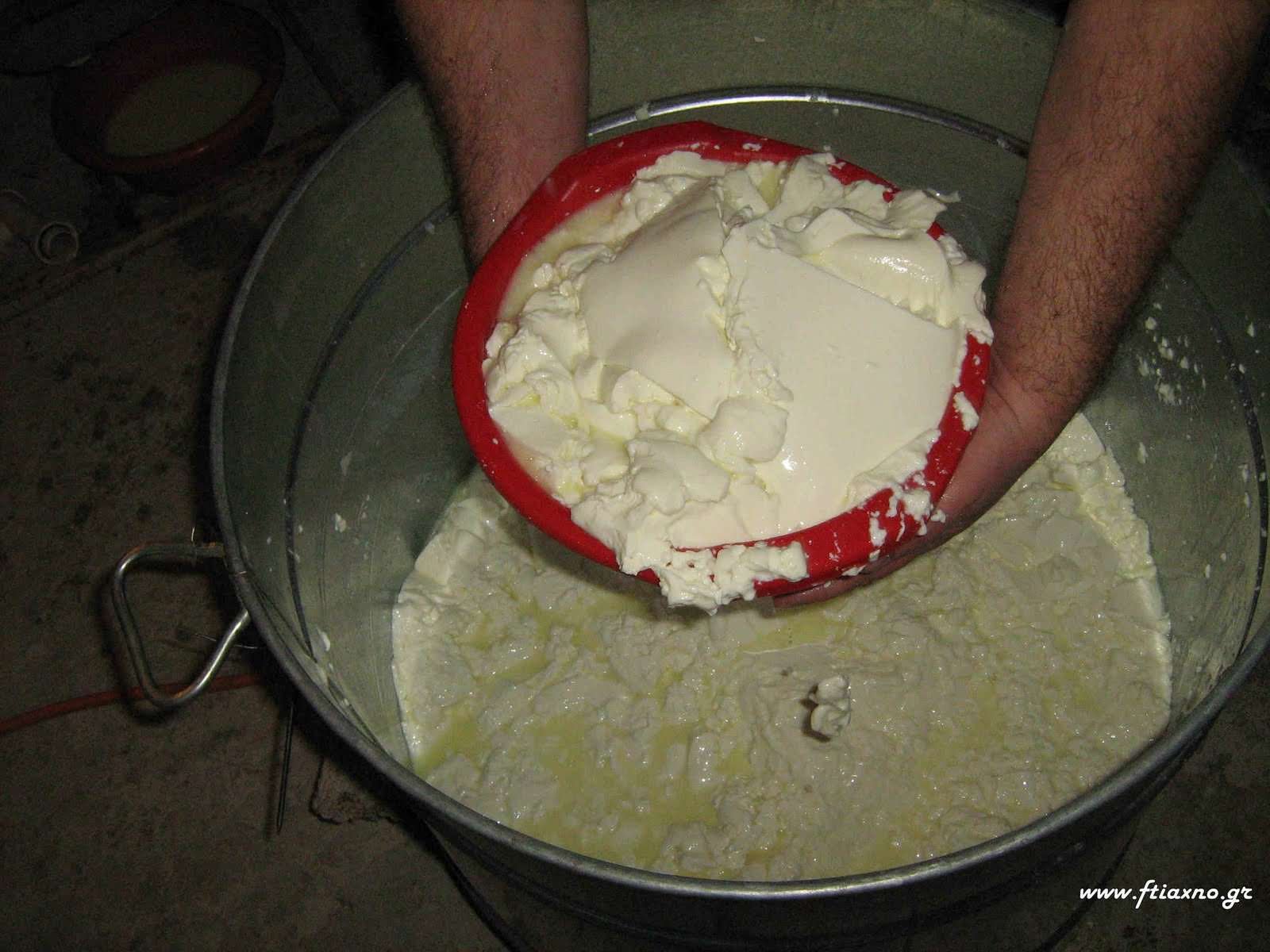Cheese-Making-with Shepherd-Tour–Olive-Oil-factory-and-Remote-villages-Agios-Nikolaos-tour (43).jpg