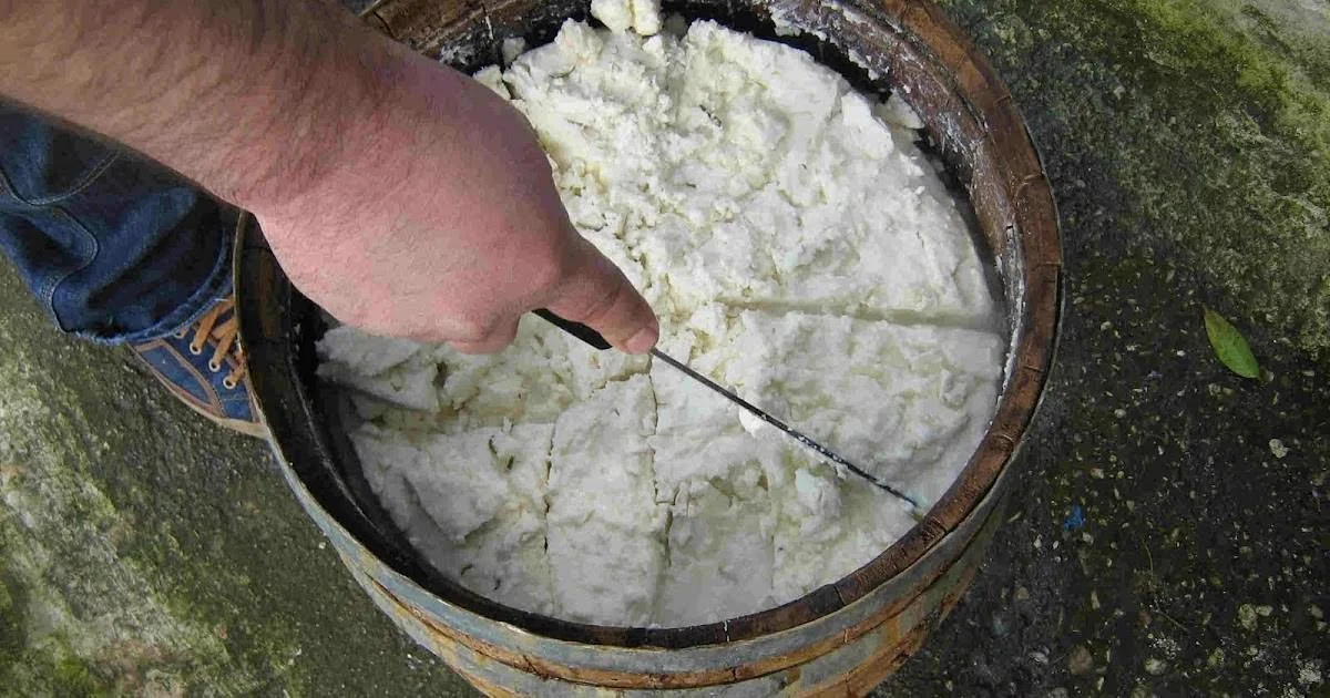 Cheese-Making-with Shepherd-Tour–Olive-Oil-factory-and-Remote-villages-Agios-Nikolaos-tour (45).jpg