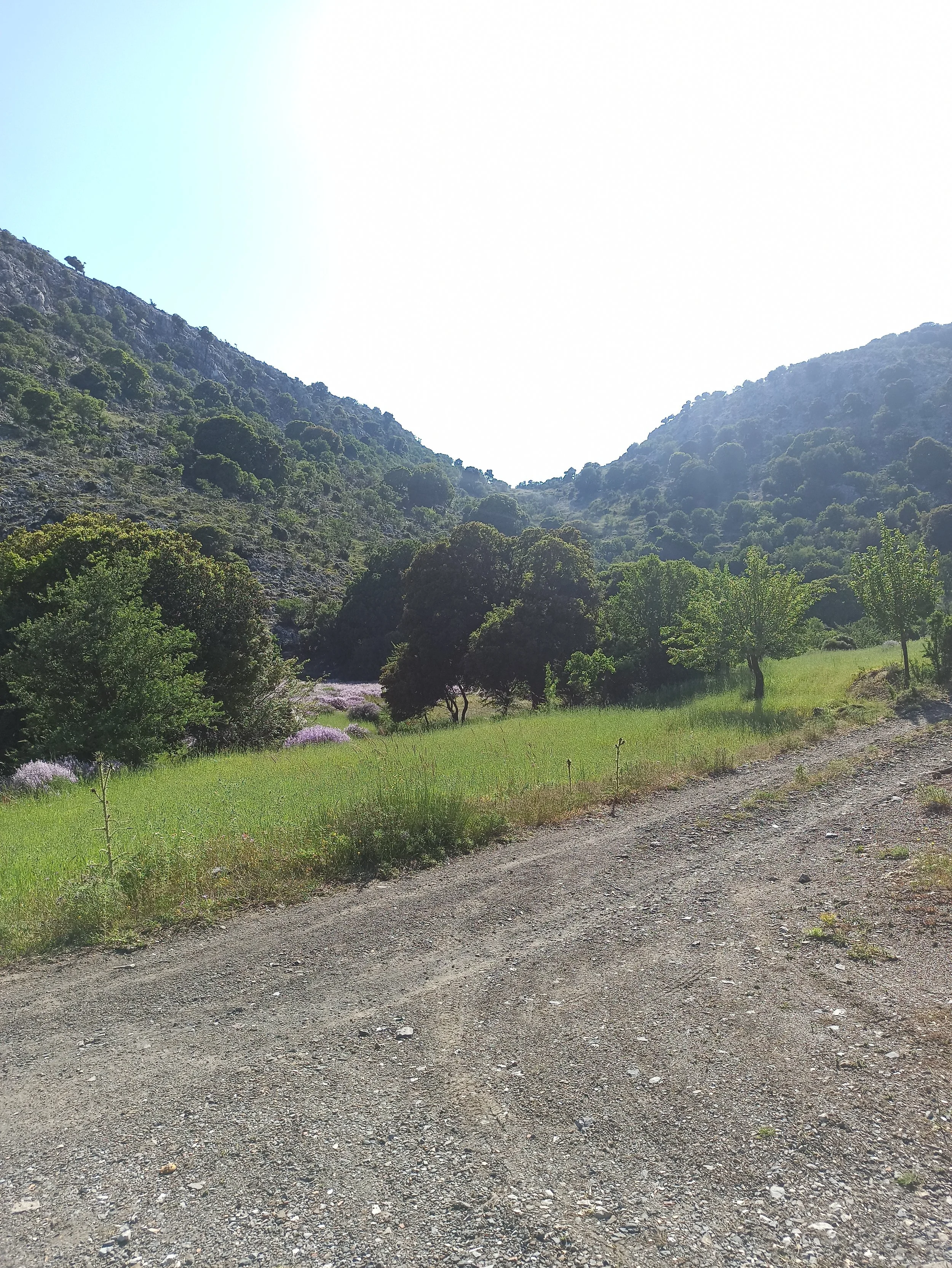 Kritsa-Village-&-Mountain-House-‘‘Metochi’’-Cooking-Experience (37).jpg