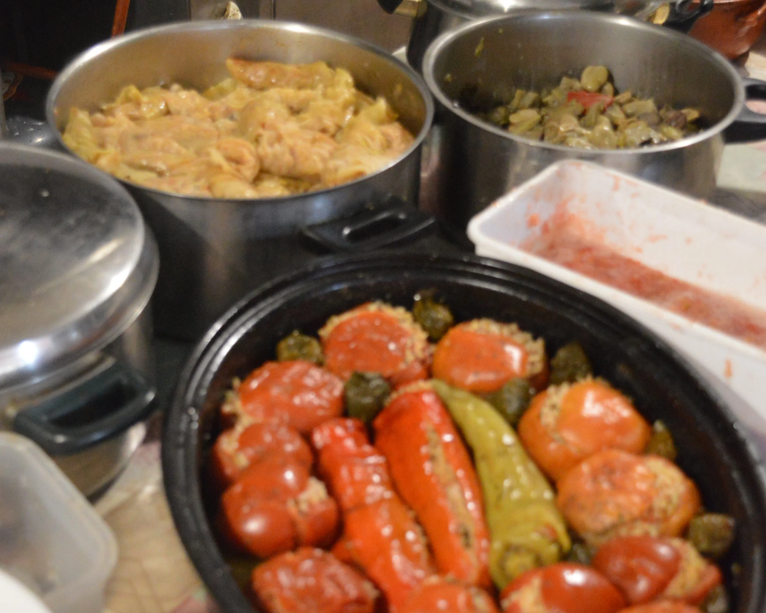 Kritsa-Village-&-Mountain-House-‘‘Metochi’’-Cooking-Experience (28).JPG