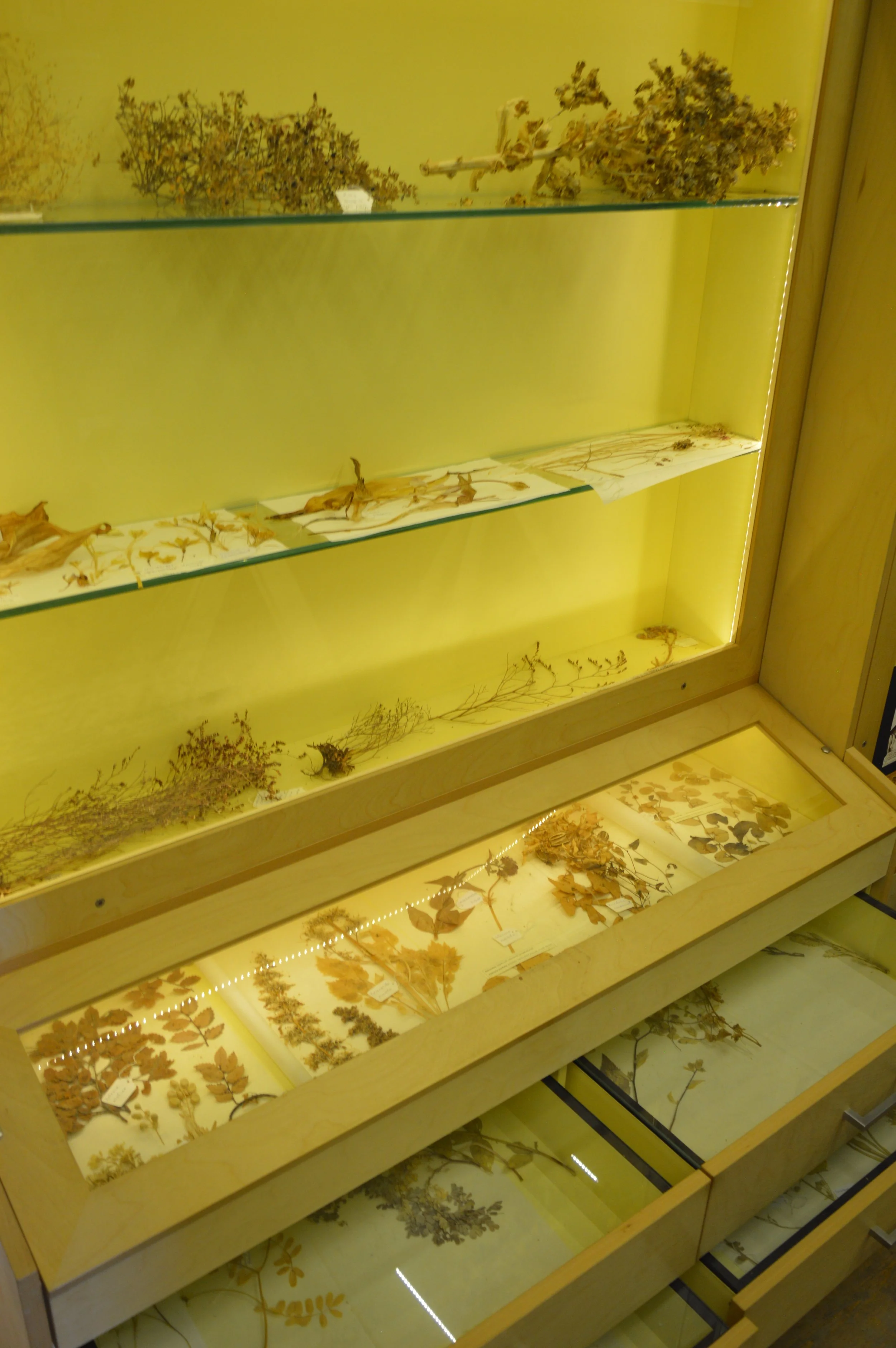 Kritsa-Village-Herbal-Museum-&-Agios-Nikolaos-Experience.JPG (19).JPG