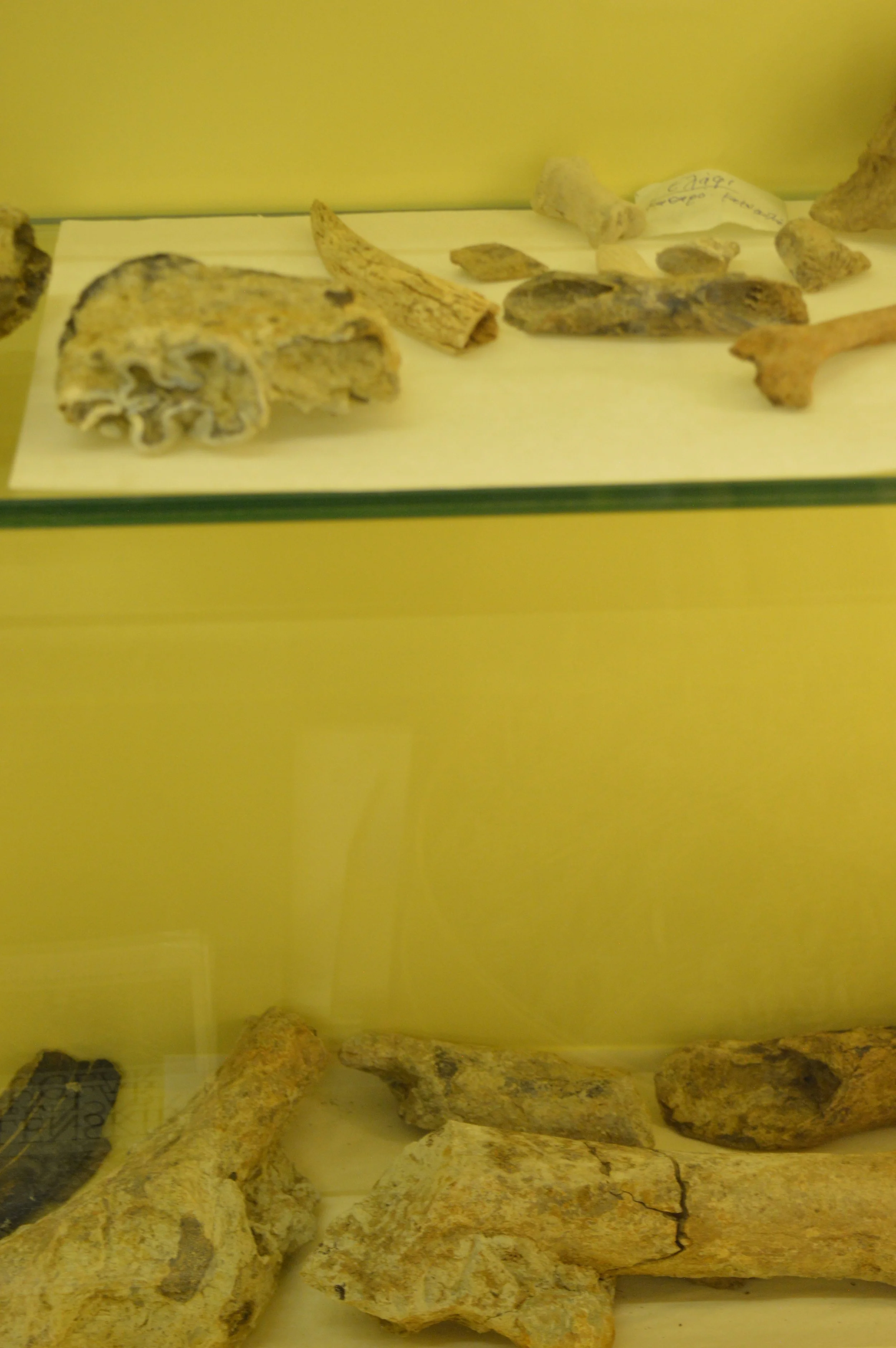 Kritsa-Village-Herbal-Museum-&-Agios-Nikolaos-Experience.JPG (33).JPG
