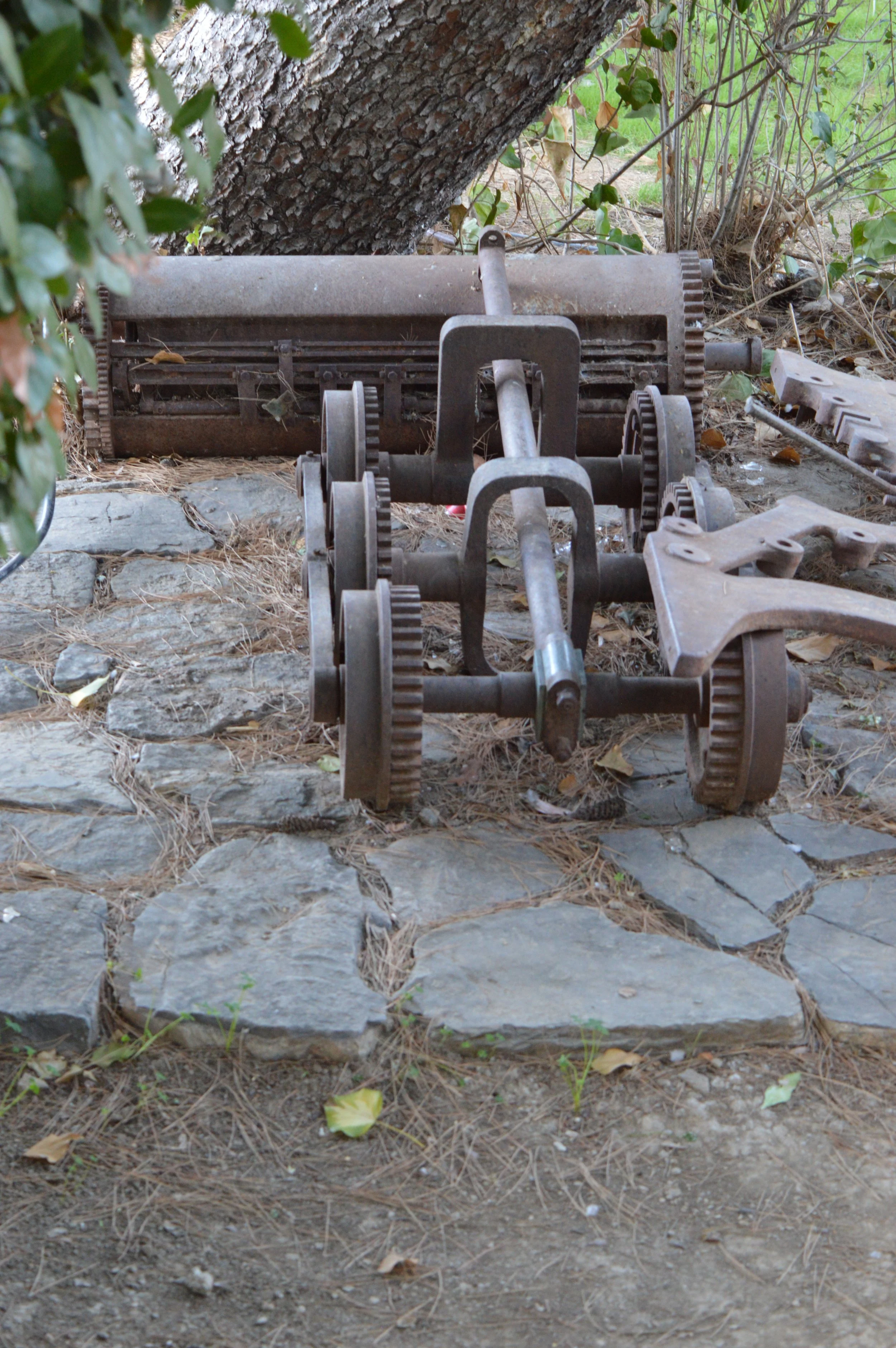 DSC_5784.JPG