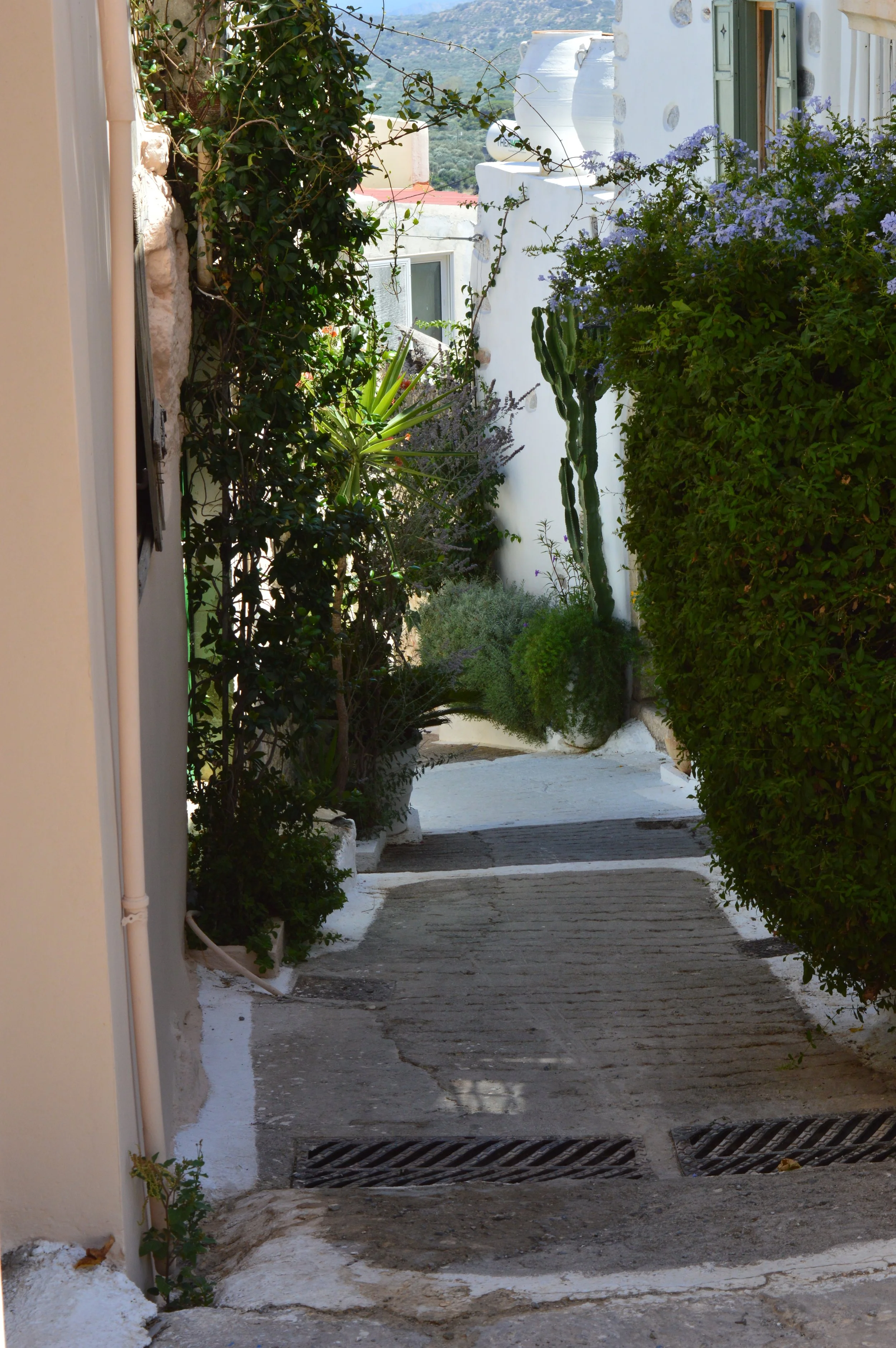 Kritsa-village-agios-nikolaos-travel-guide-com (31).JPG