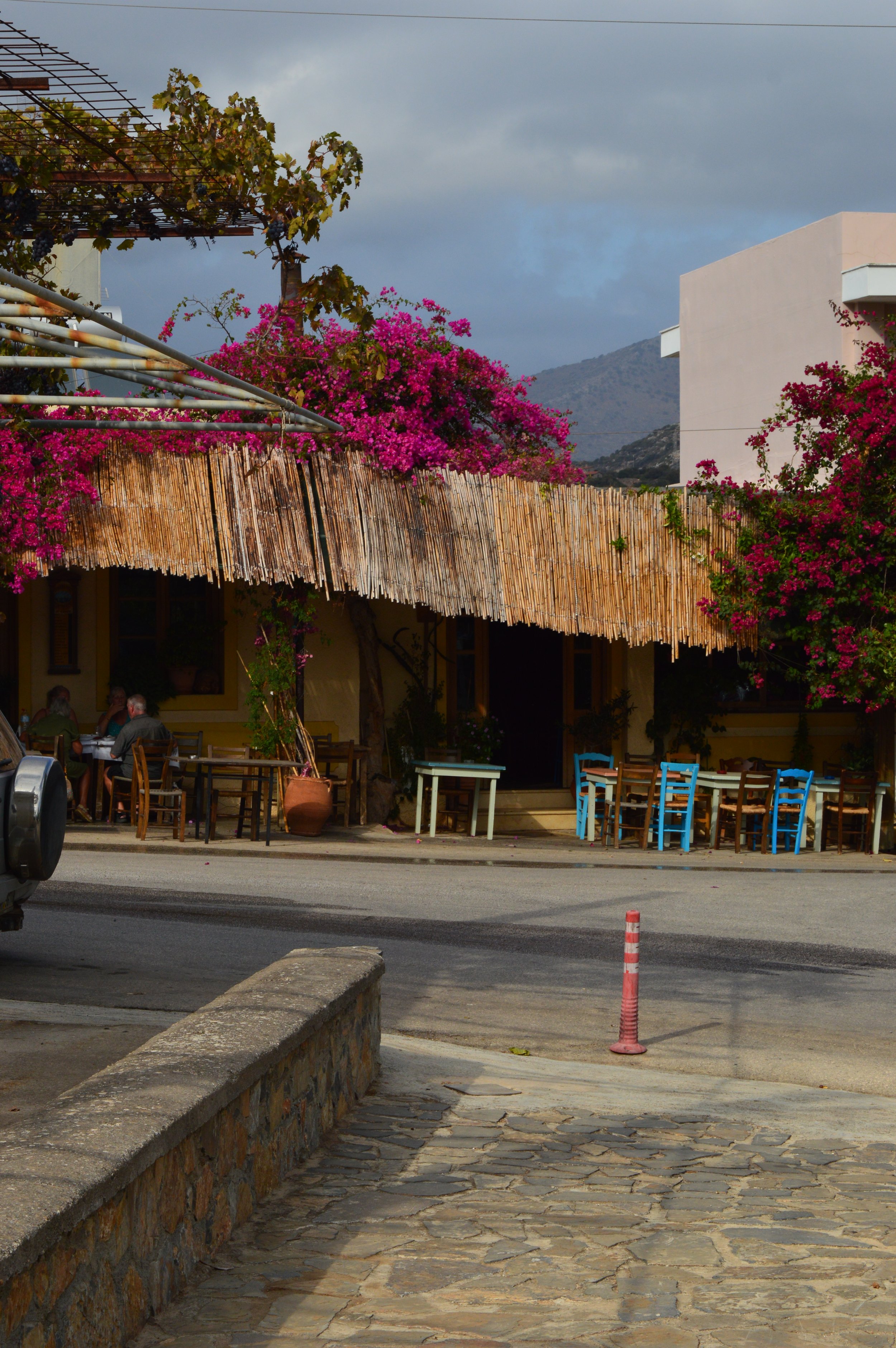 DSC_5521.JPG