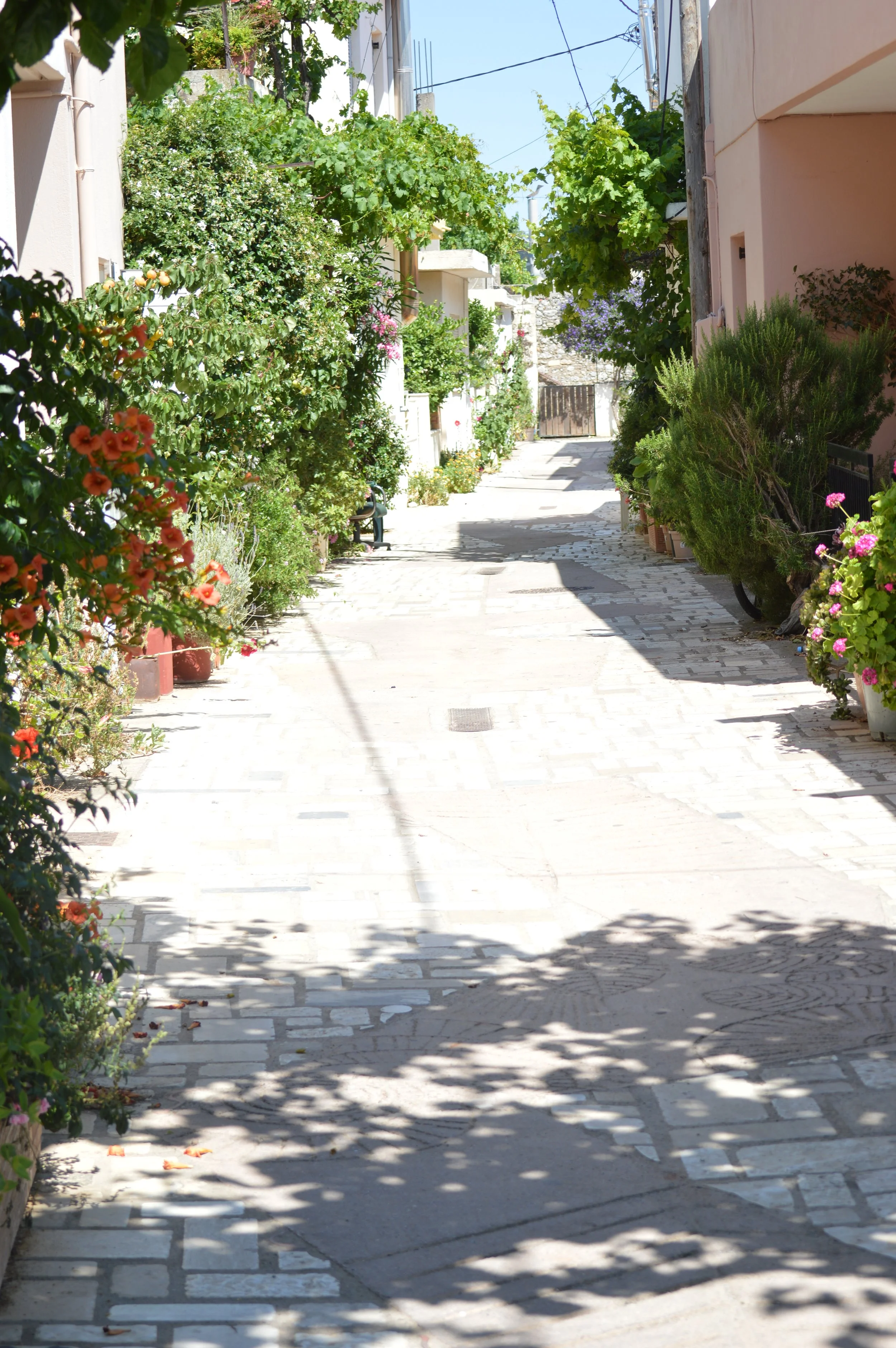 Kroustas-village-agios-nikolaos-a-local-guide (33).JPG