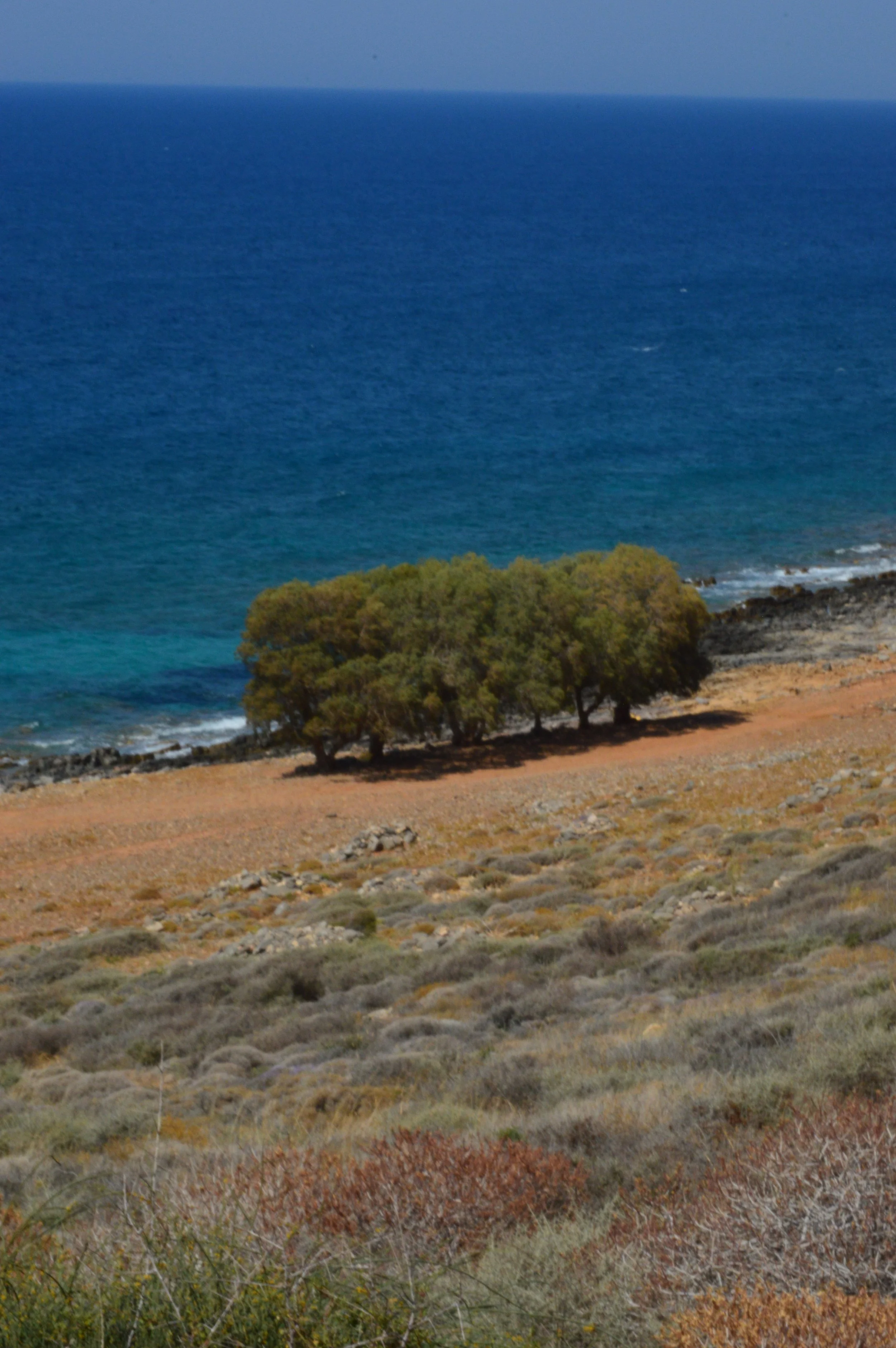 DSC_2602.JPG