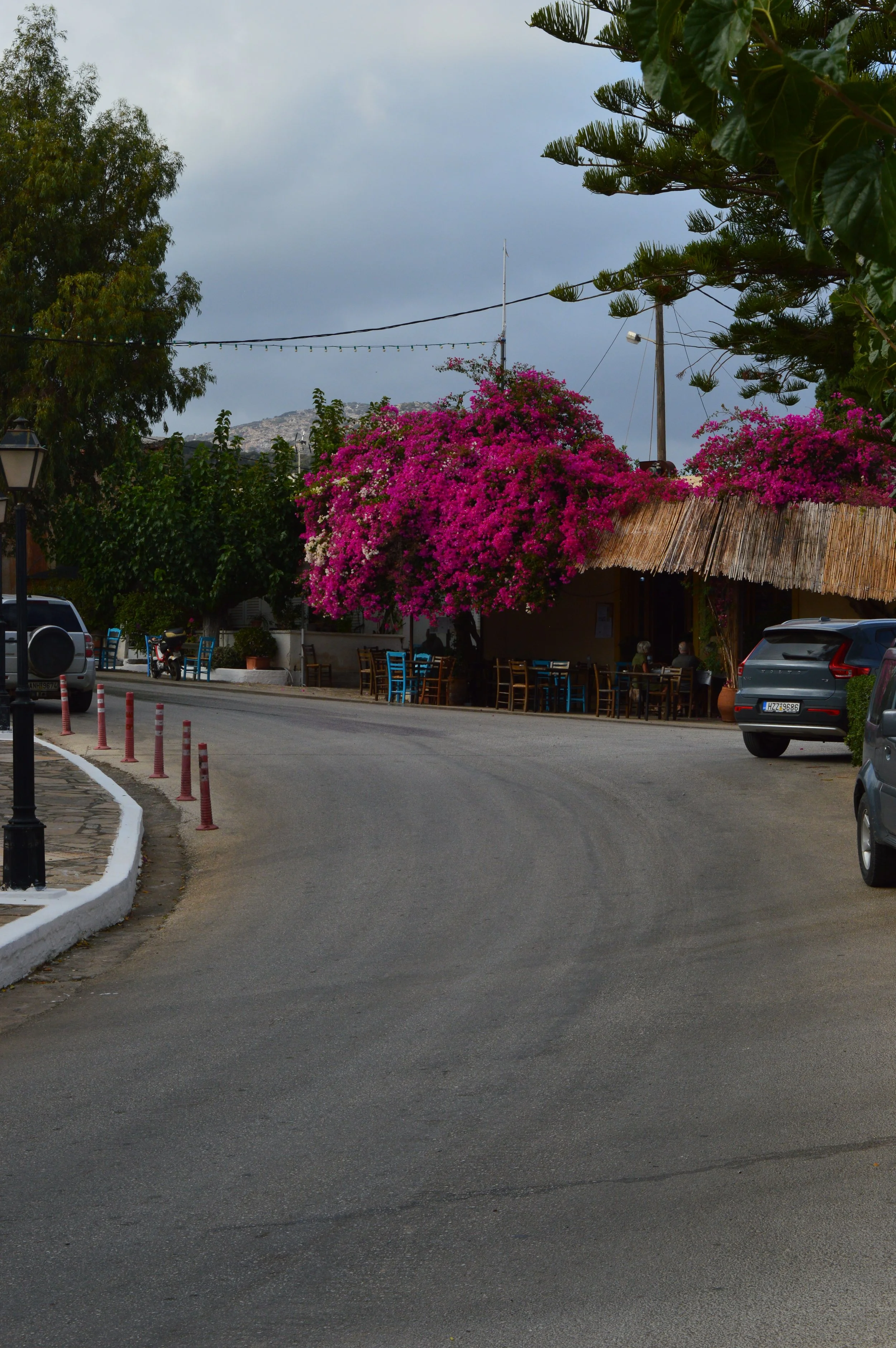 DSC_5517.JPG