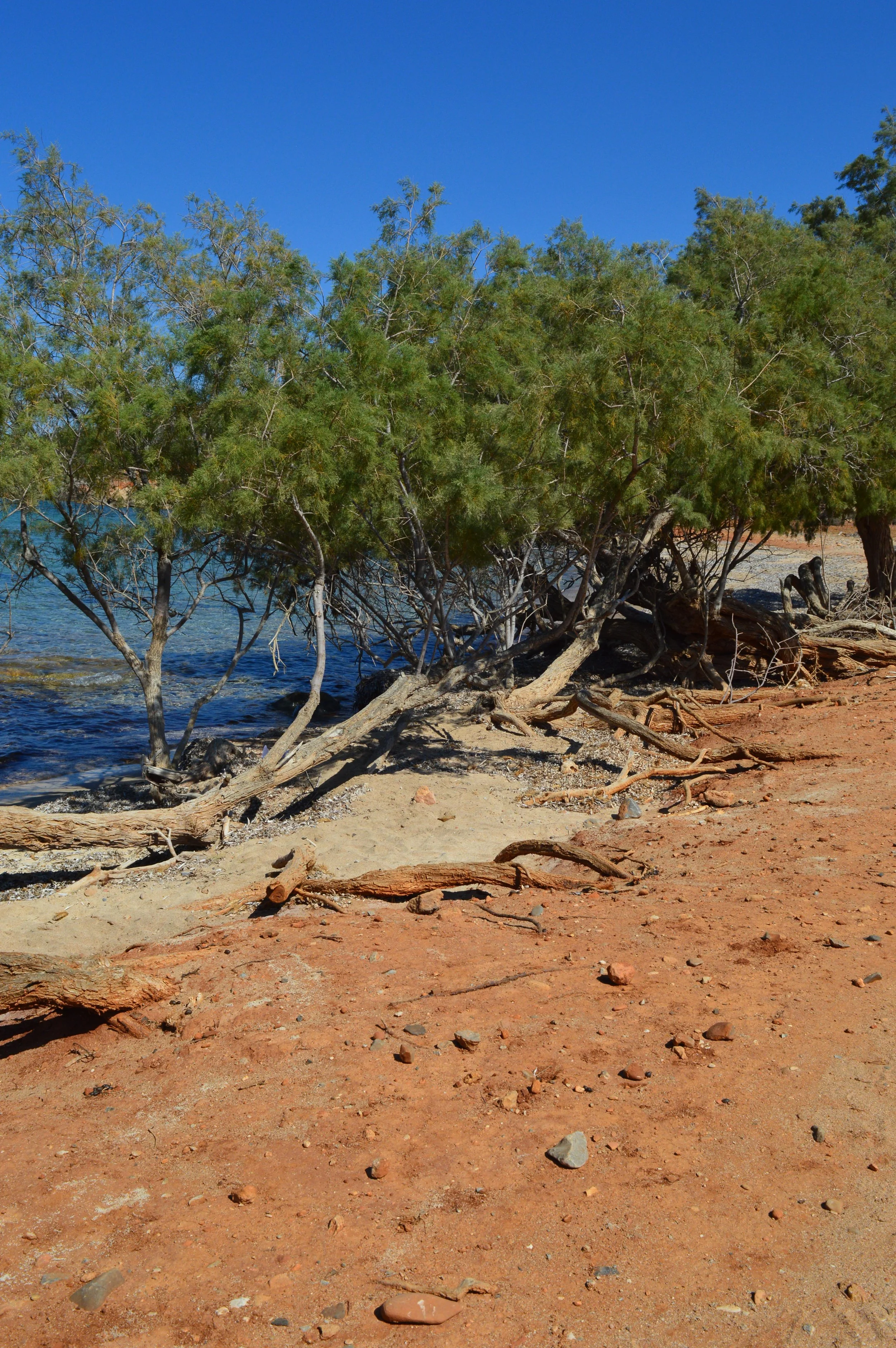 Vagi-beach-Kolokytha-bay-Elounda-Agios-Nikolaos-crete (8).JPG